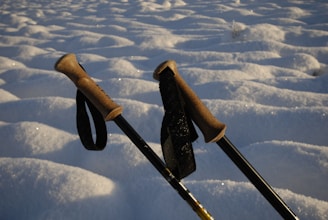 Close-up of high-quality ski gloves resting on fresh snow with ski poles in the background.
