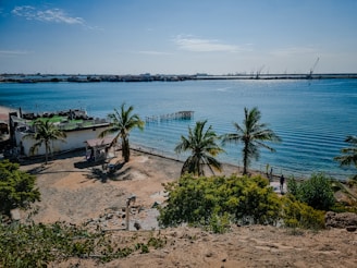 A coastal scene featuring a small beach area lined with palm trees. There's an old wooden dock extending into the clear blue water. To the left, there is a white building with a green terrace and people can be seen walking around. In the background, there is an industrial area with cranes and structures near the horizon.