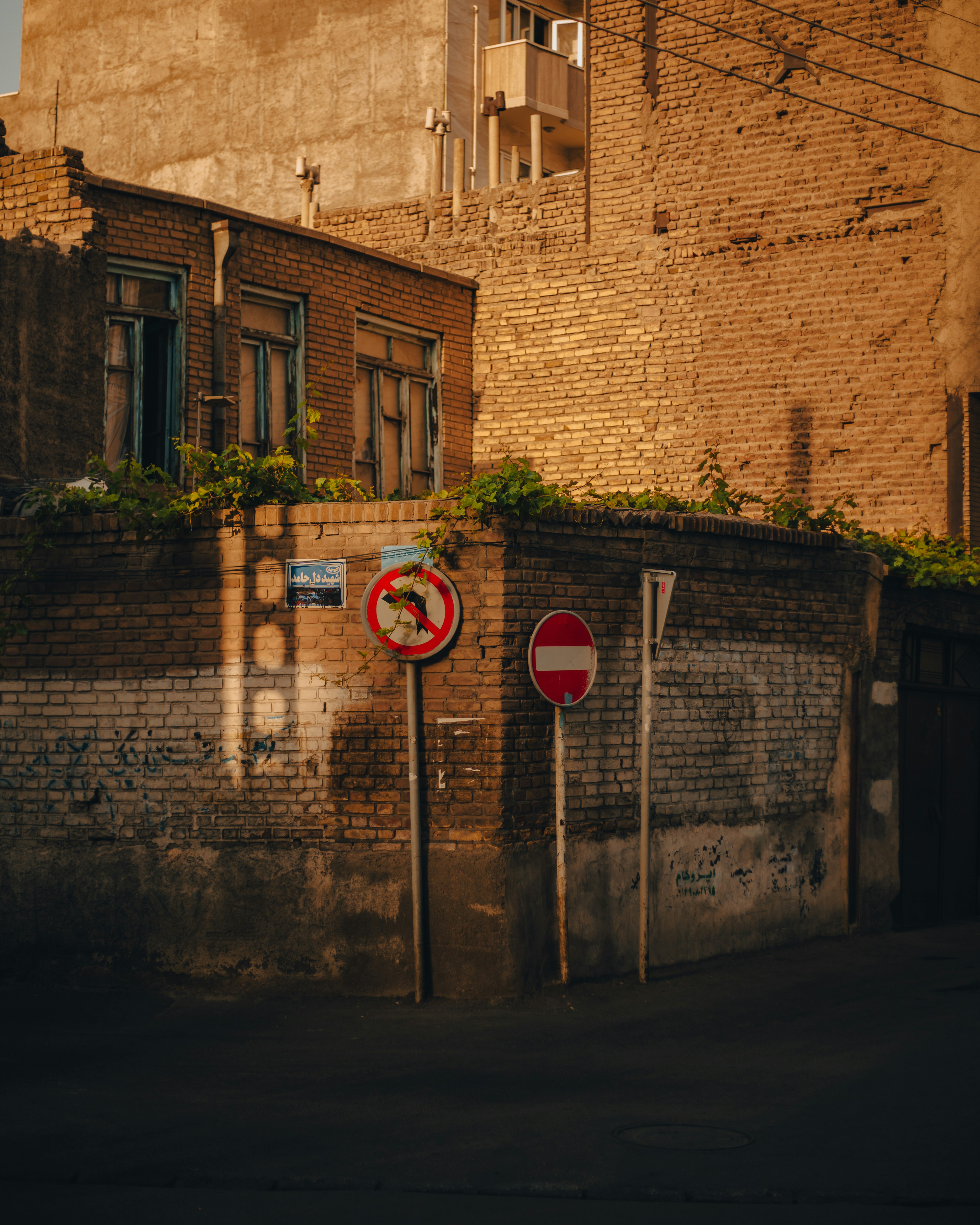 Photo by vidaalizadeh82