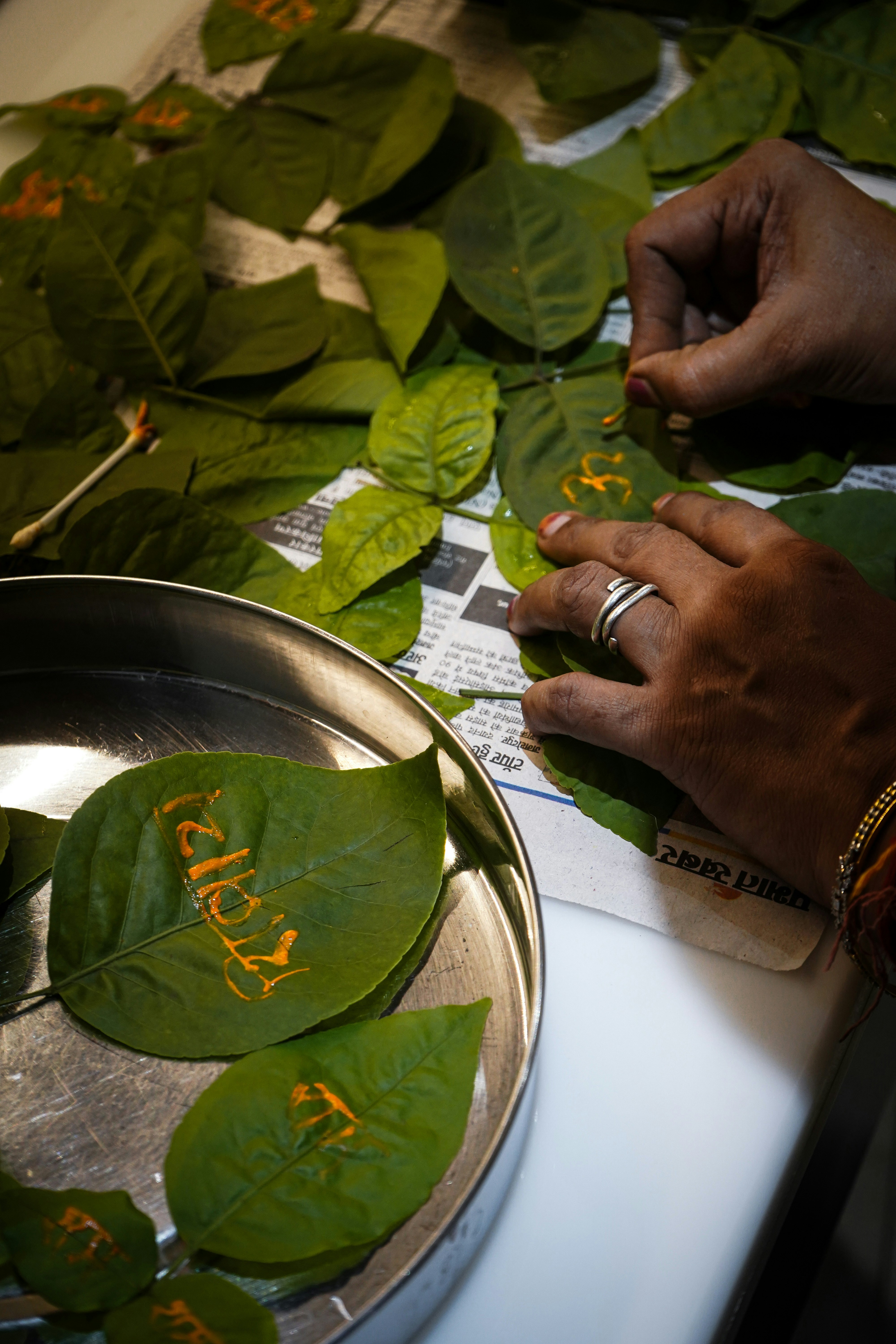 a person cutting leaves with scissors on a table