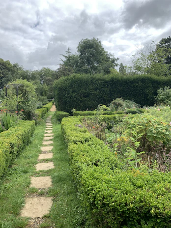 A modern garden path with dark grey stones and vibrant green plants, reflecting sustainable landscaping.