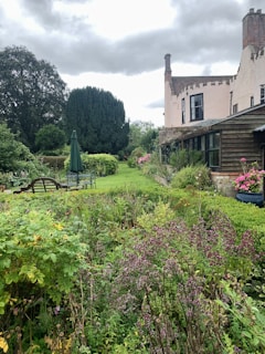 A beautiful garden with greenery and flowers near a house.