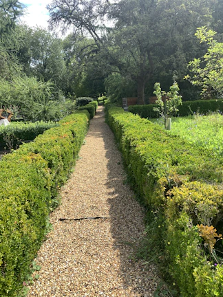 A neat gravel path bordered by wooden edging, leading through a vibrant garden.