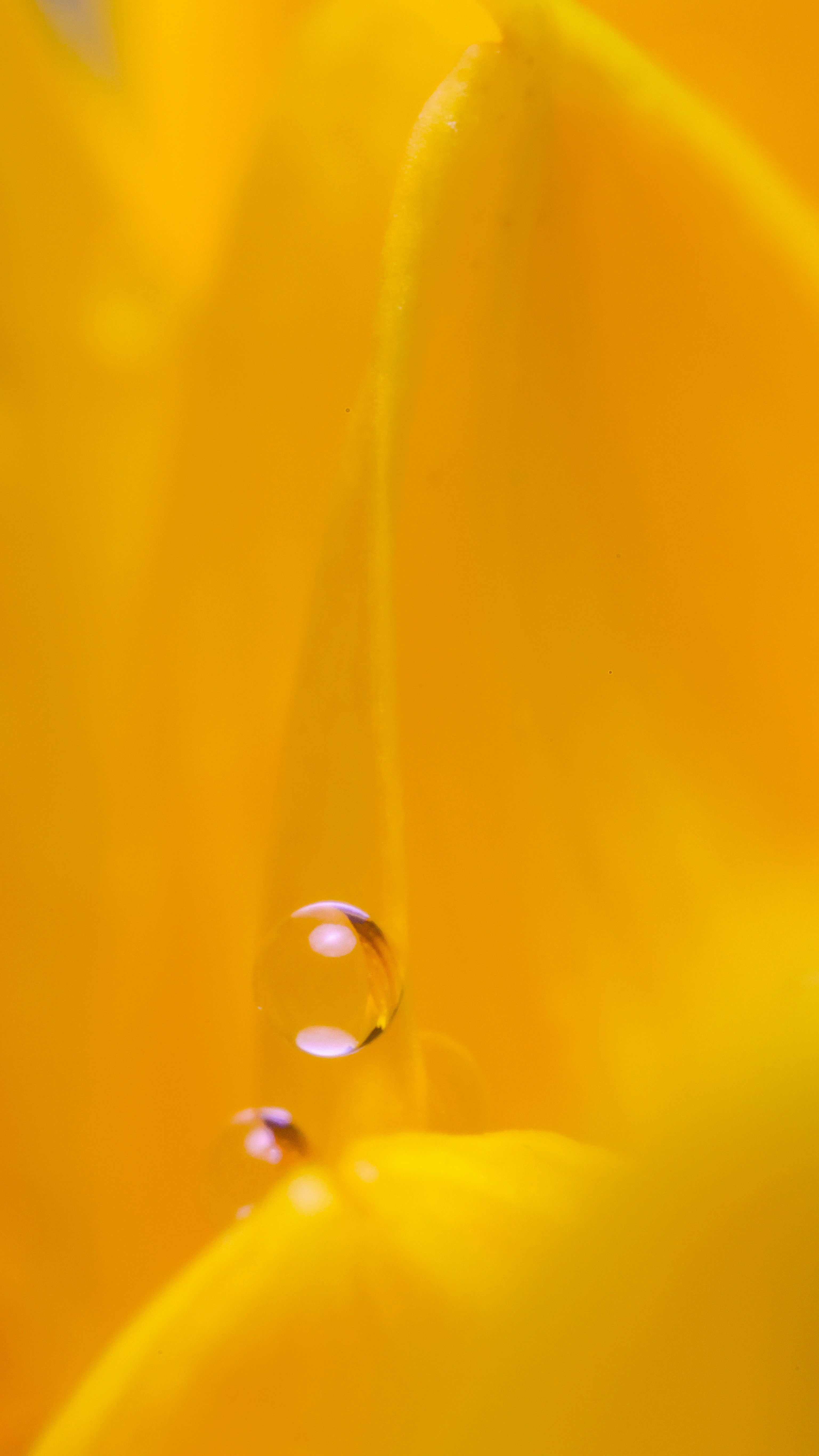 Photo by dickenslin76