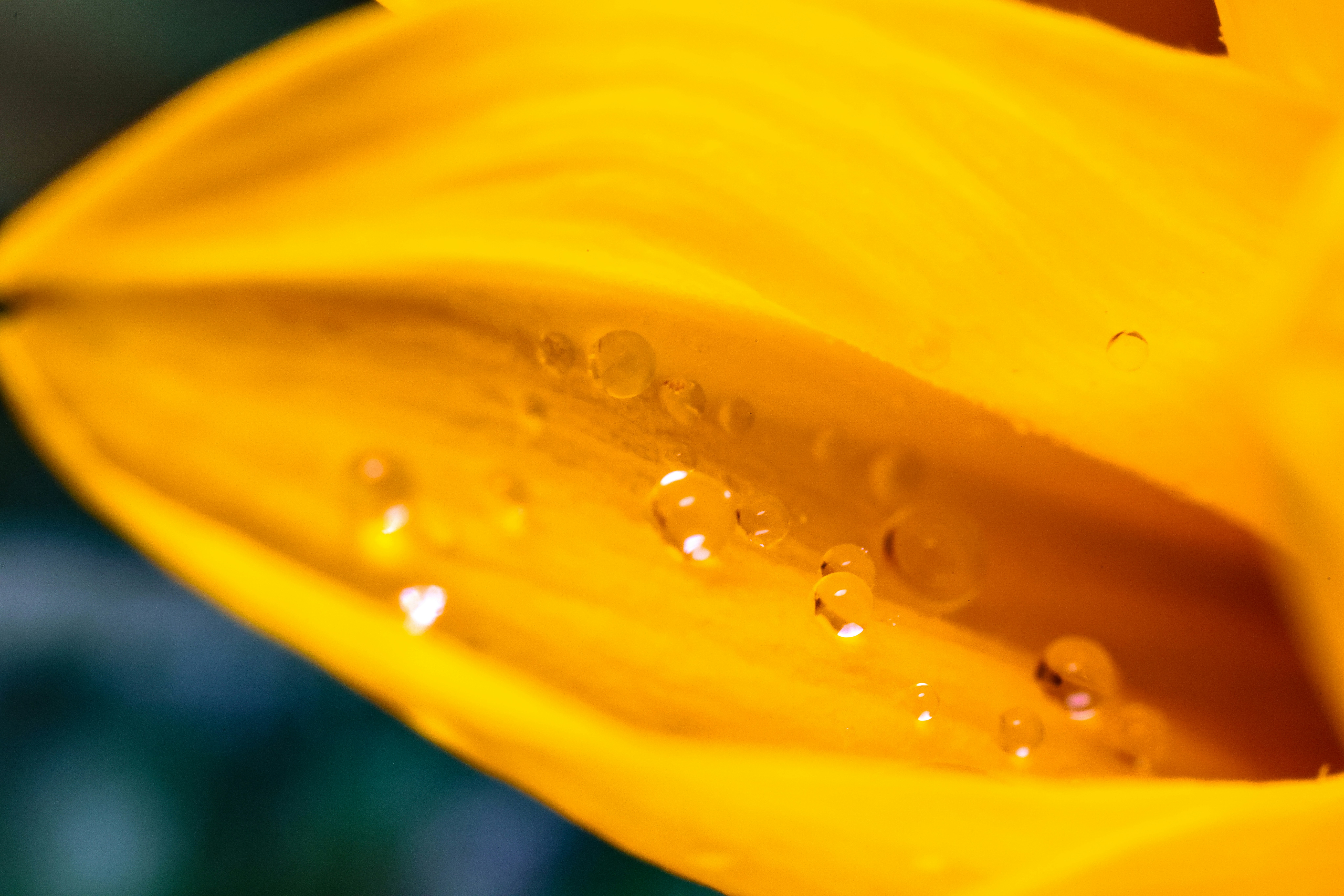 Cursos y Productos Naturales
