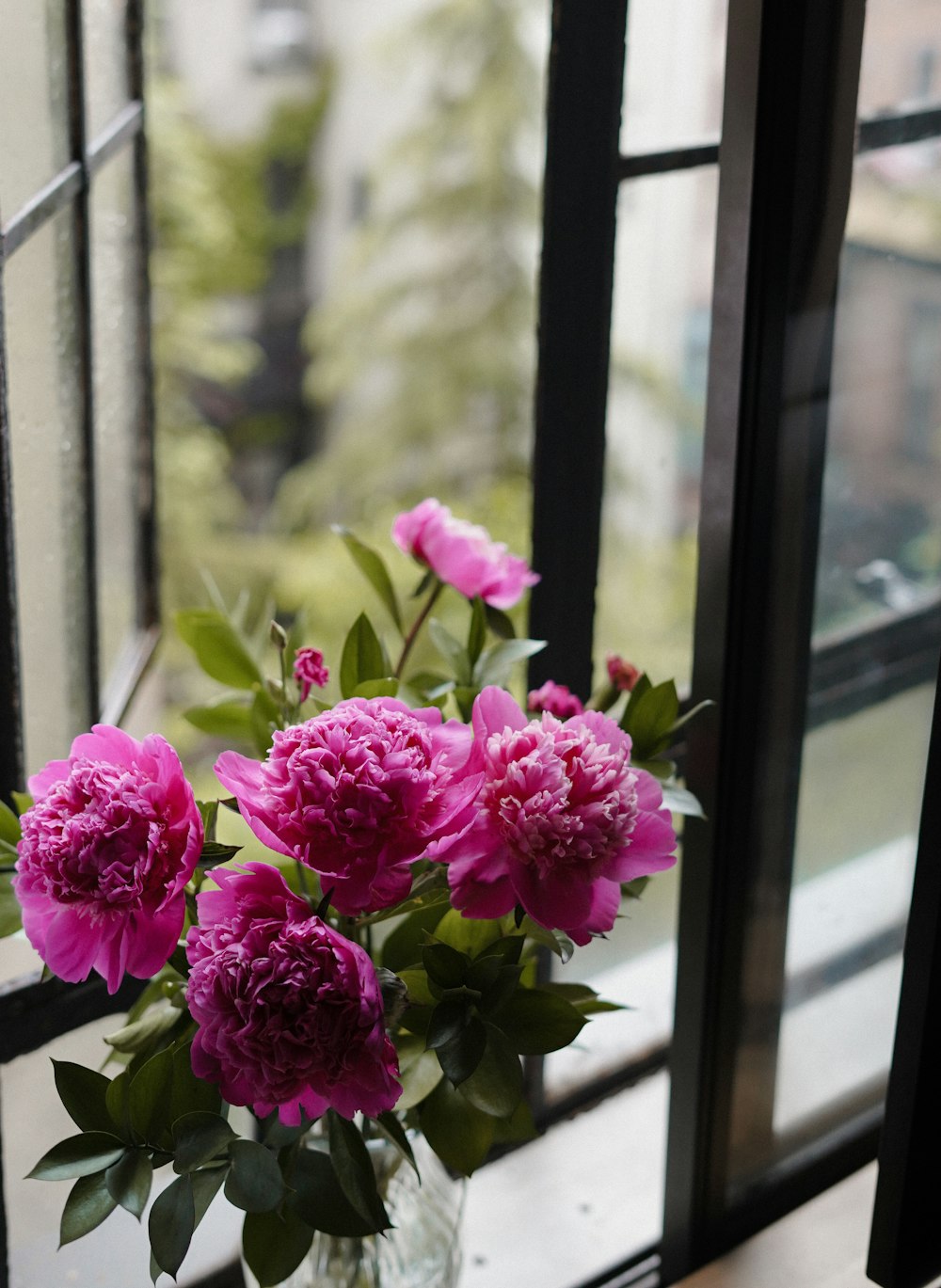 a vase filled with pink flowers sitting on top of a window sill