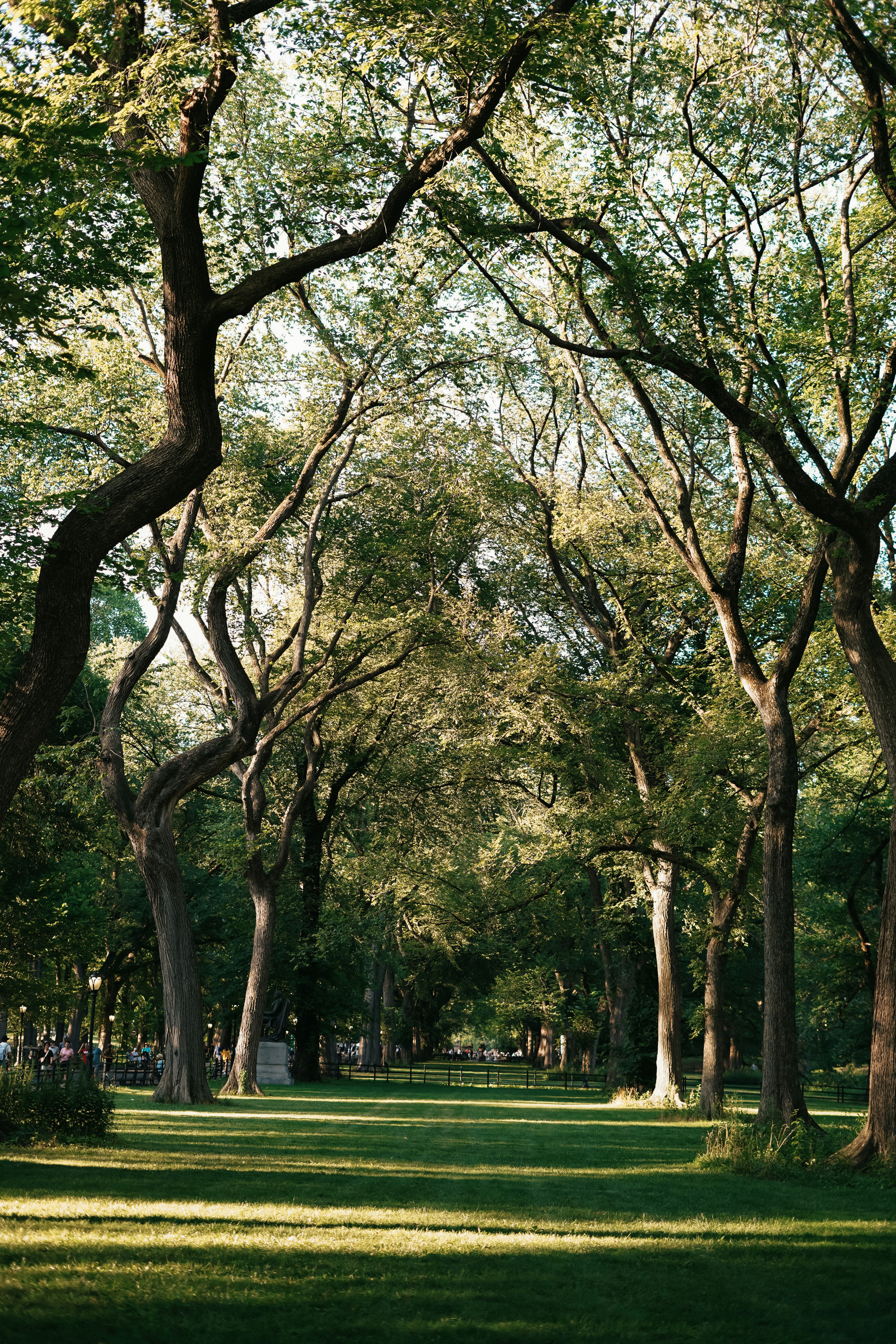 Photo by sofiya_young