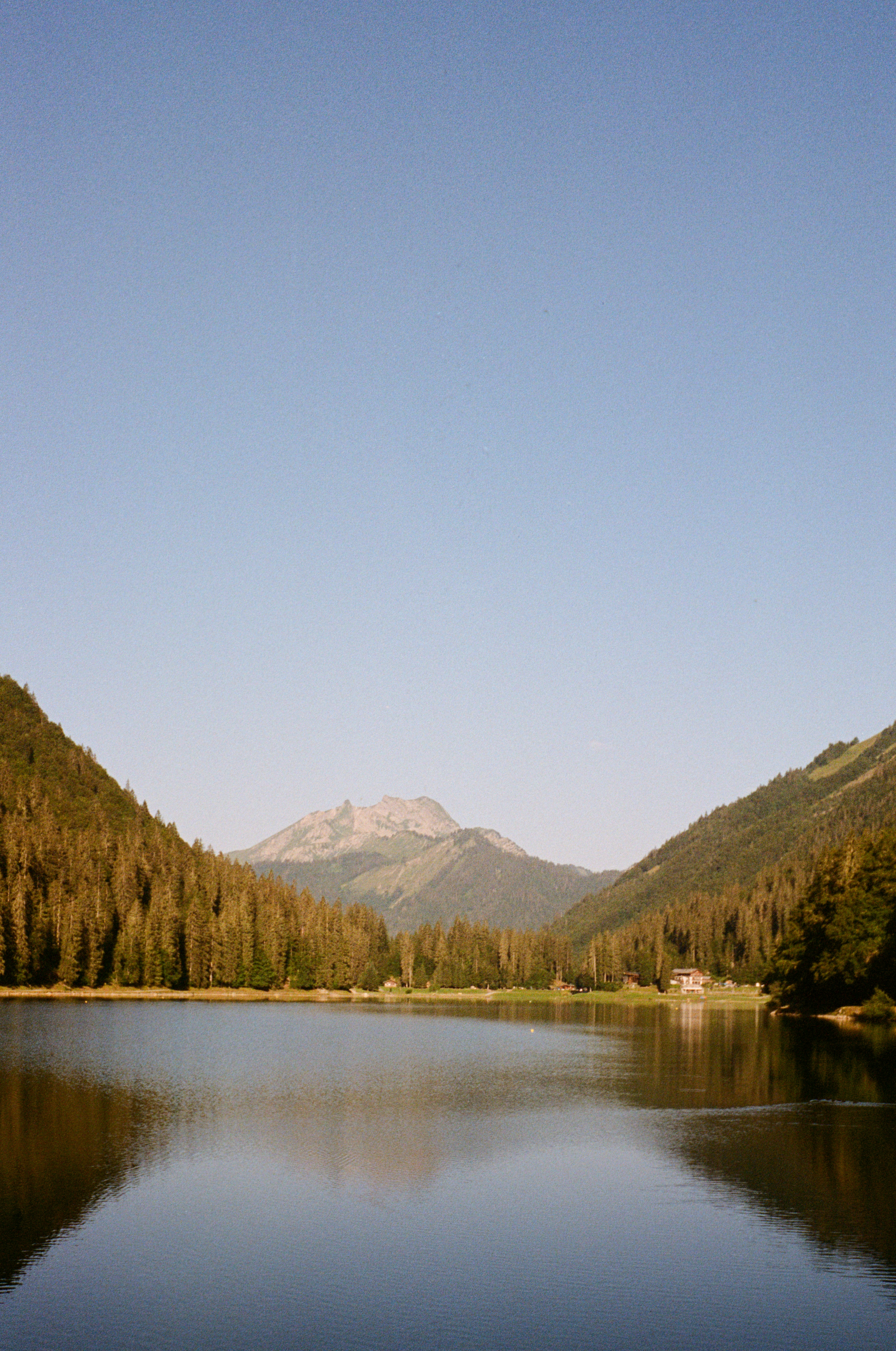 Photo by anniespratt