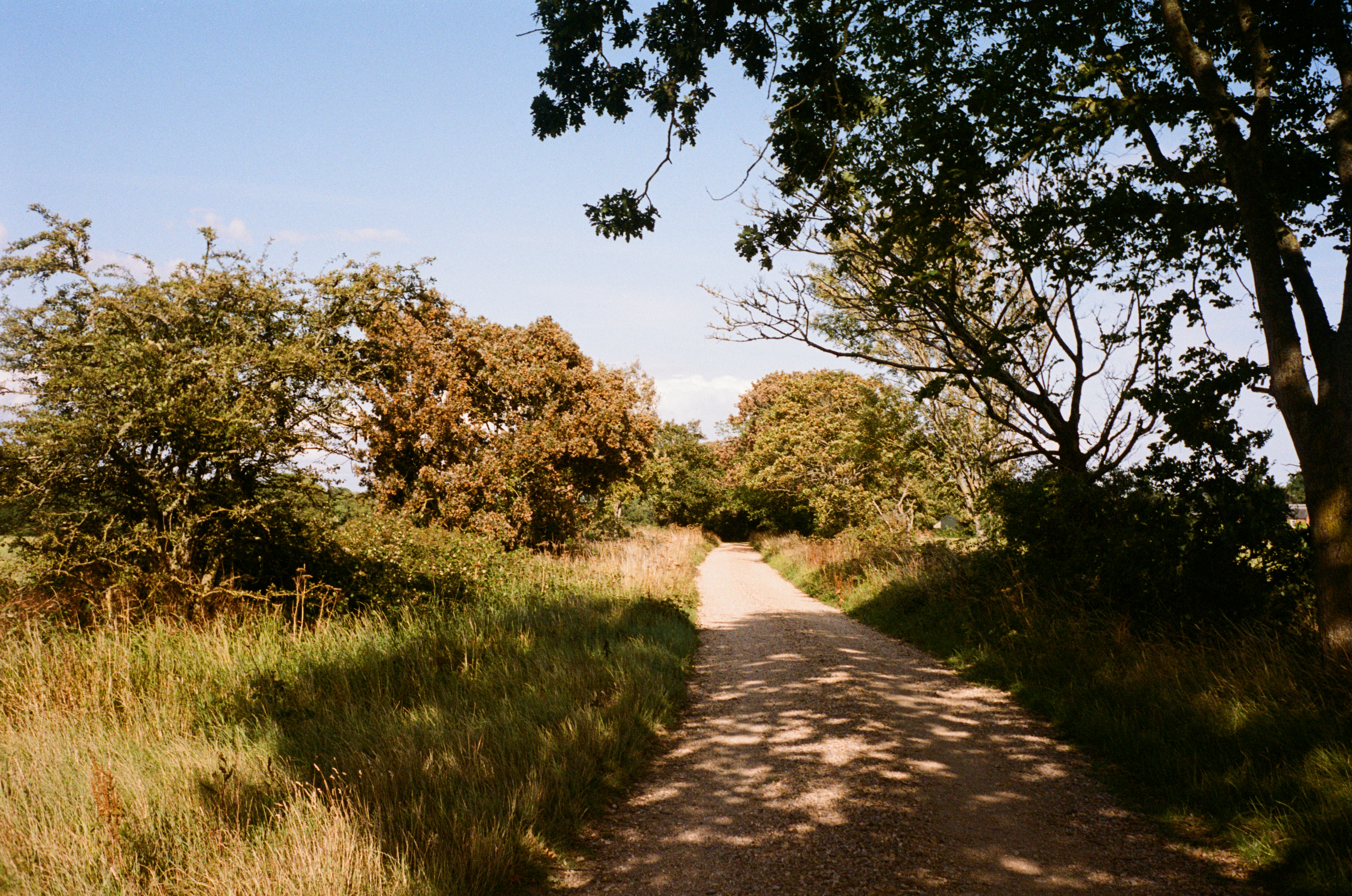 Photo by anniespratt