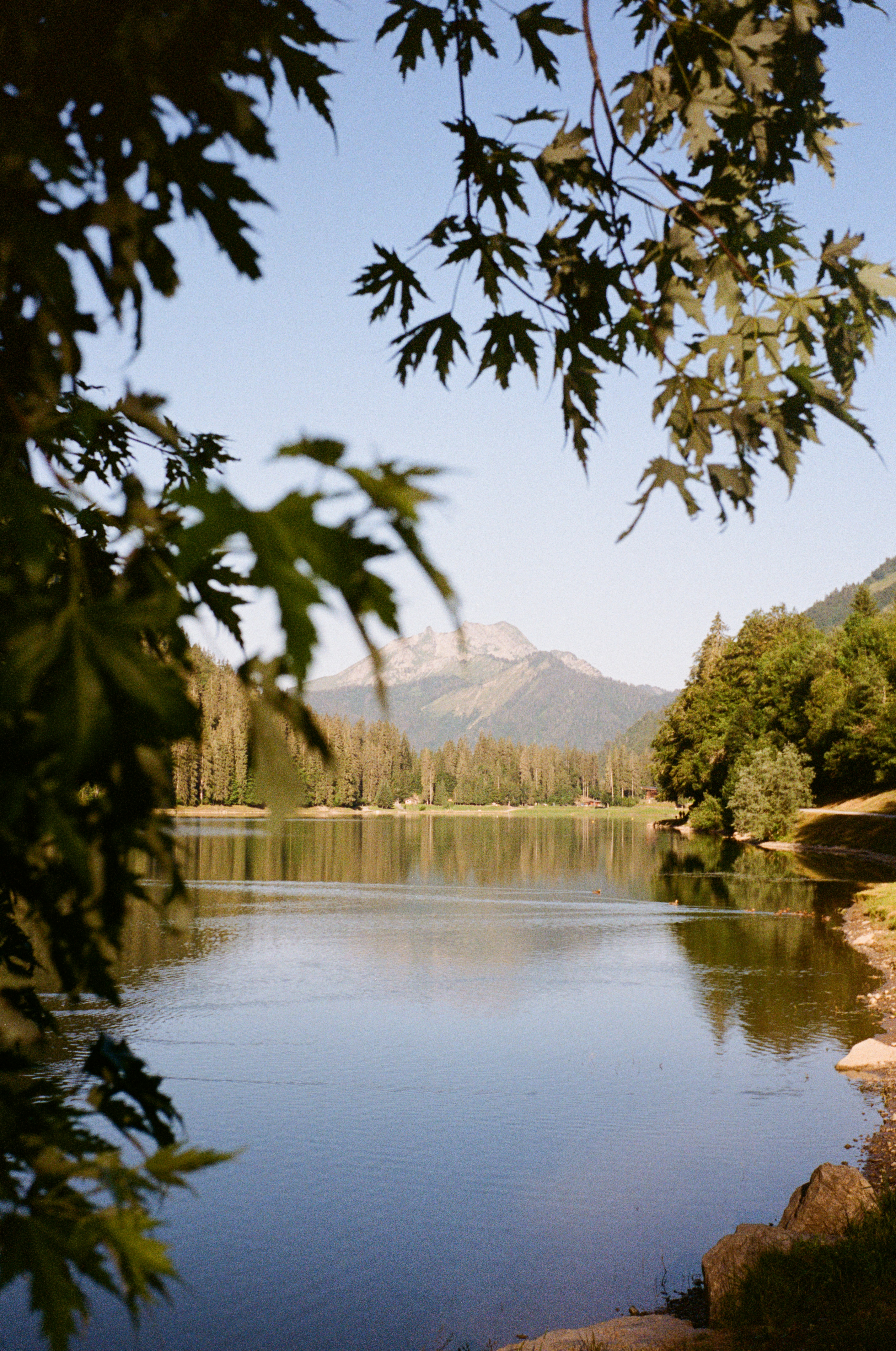 A body of water surrounded by trees and mountains photo – Free Nature ...