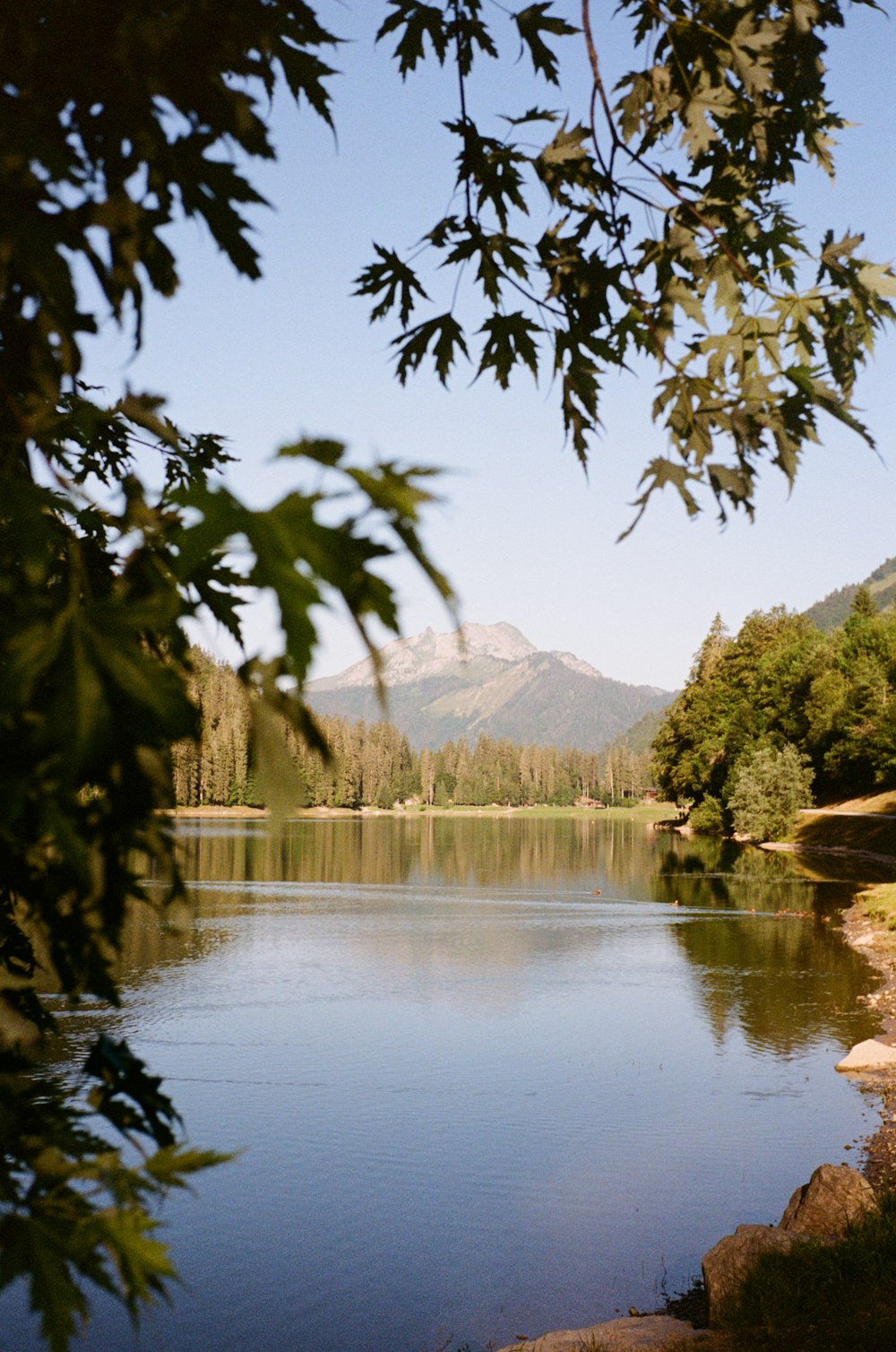 a body of water surrounded by trees and mountains