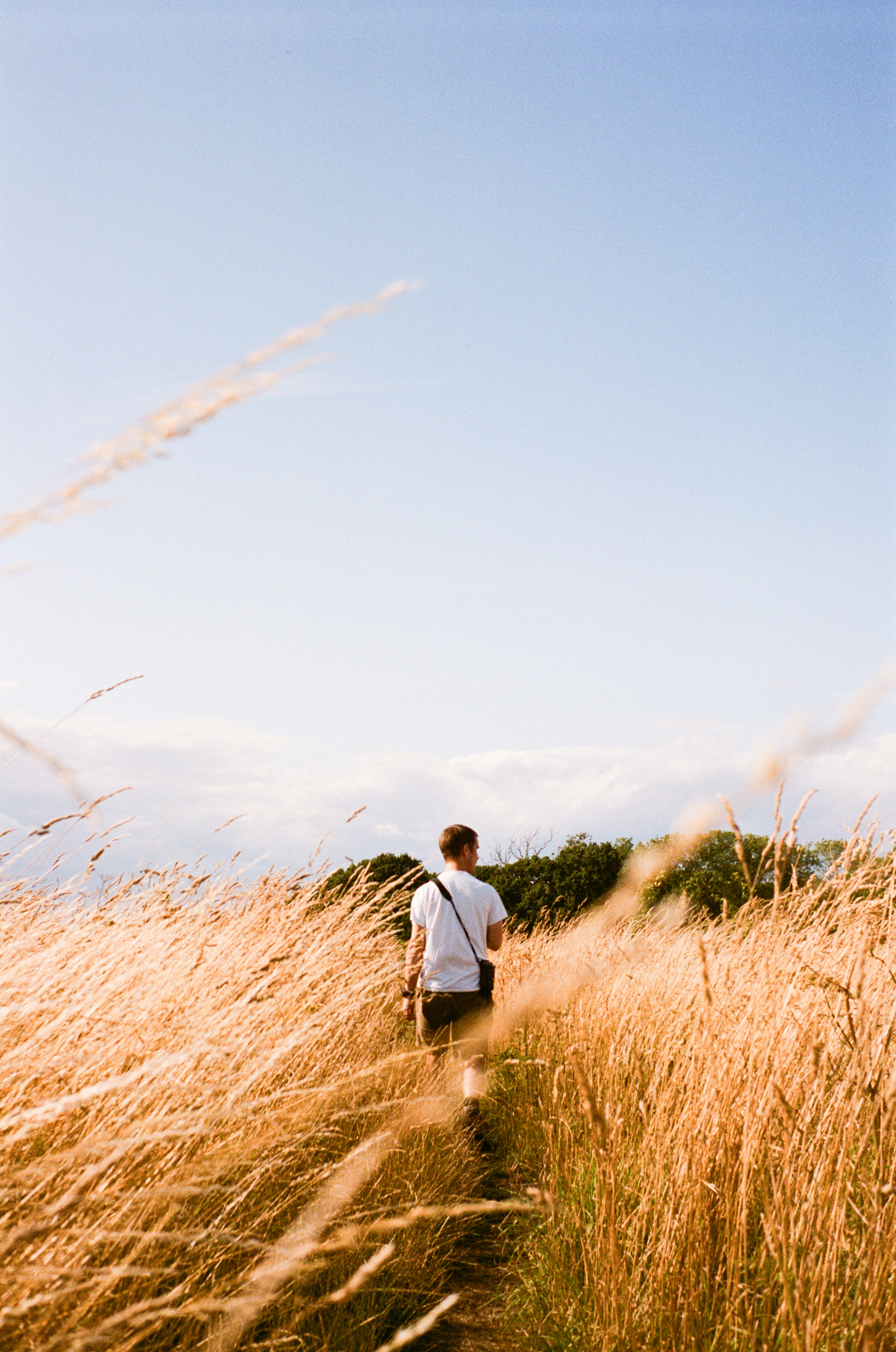 Photo by anniespratt