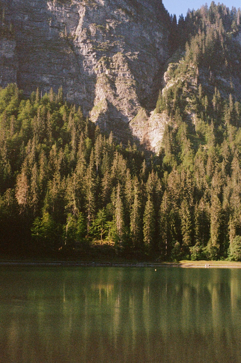 a lake surrounded by trees and a mountain