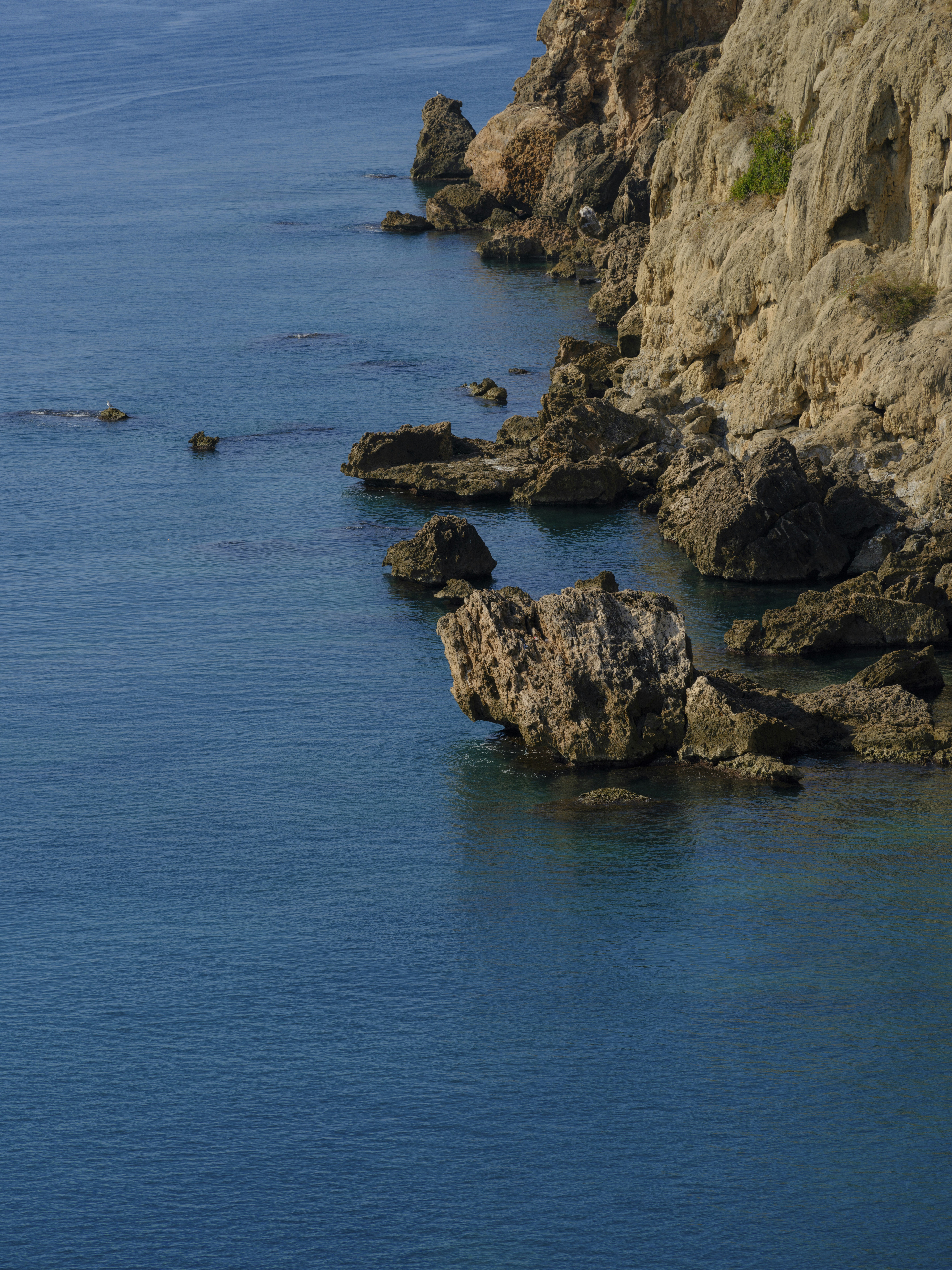 Photo by enginakyurt