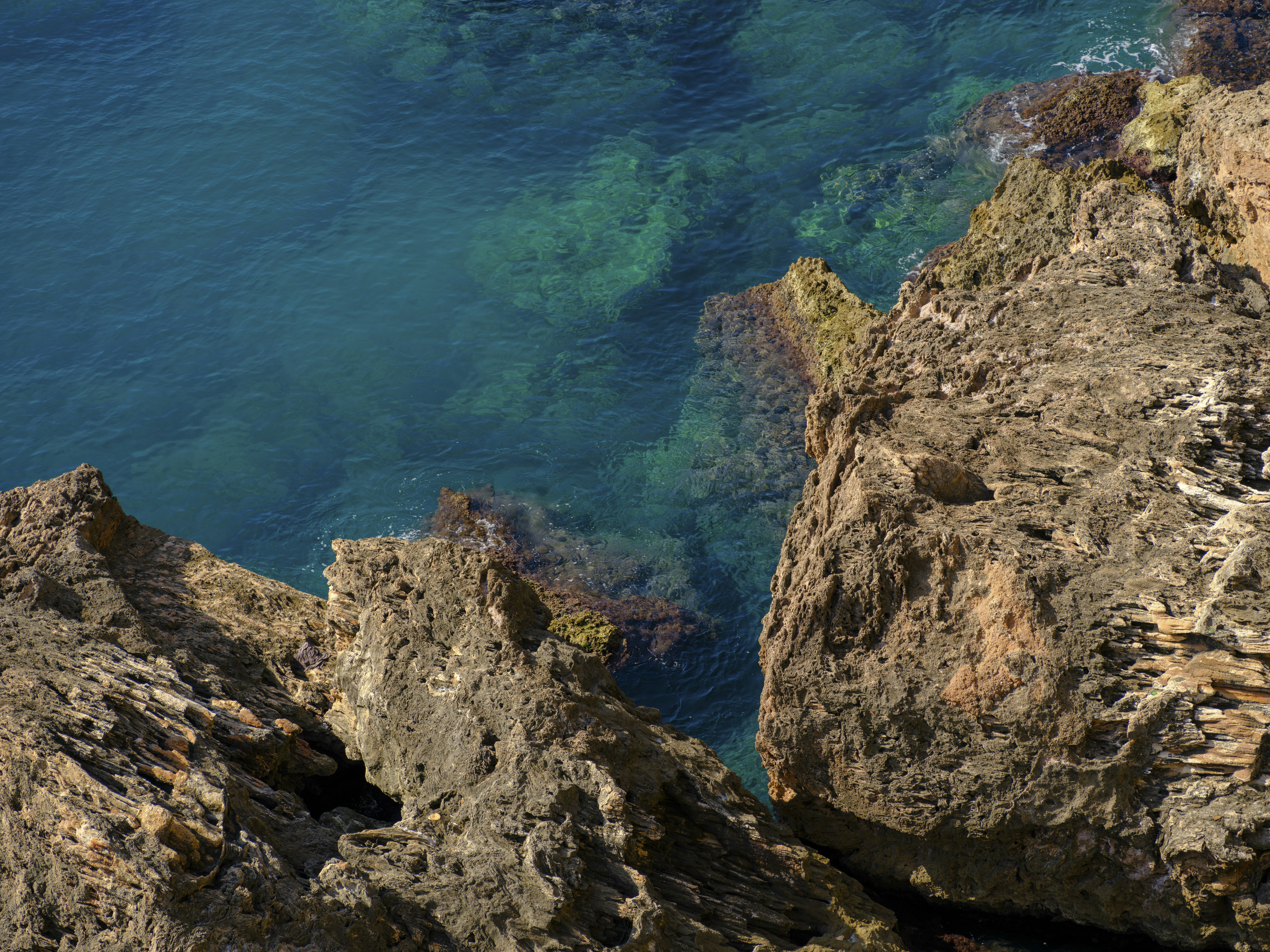 Photo by enginakyurt