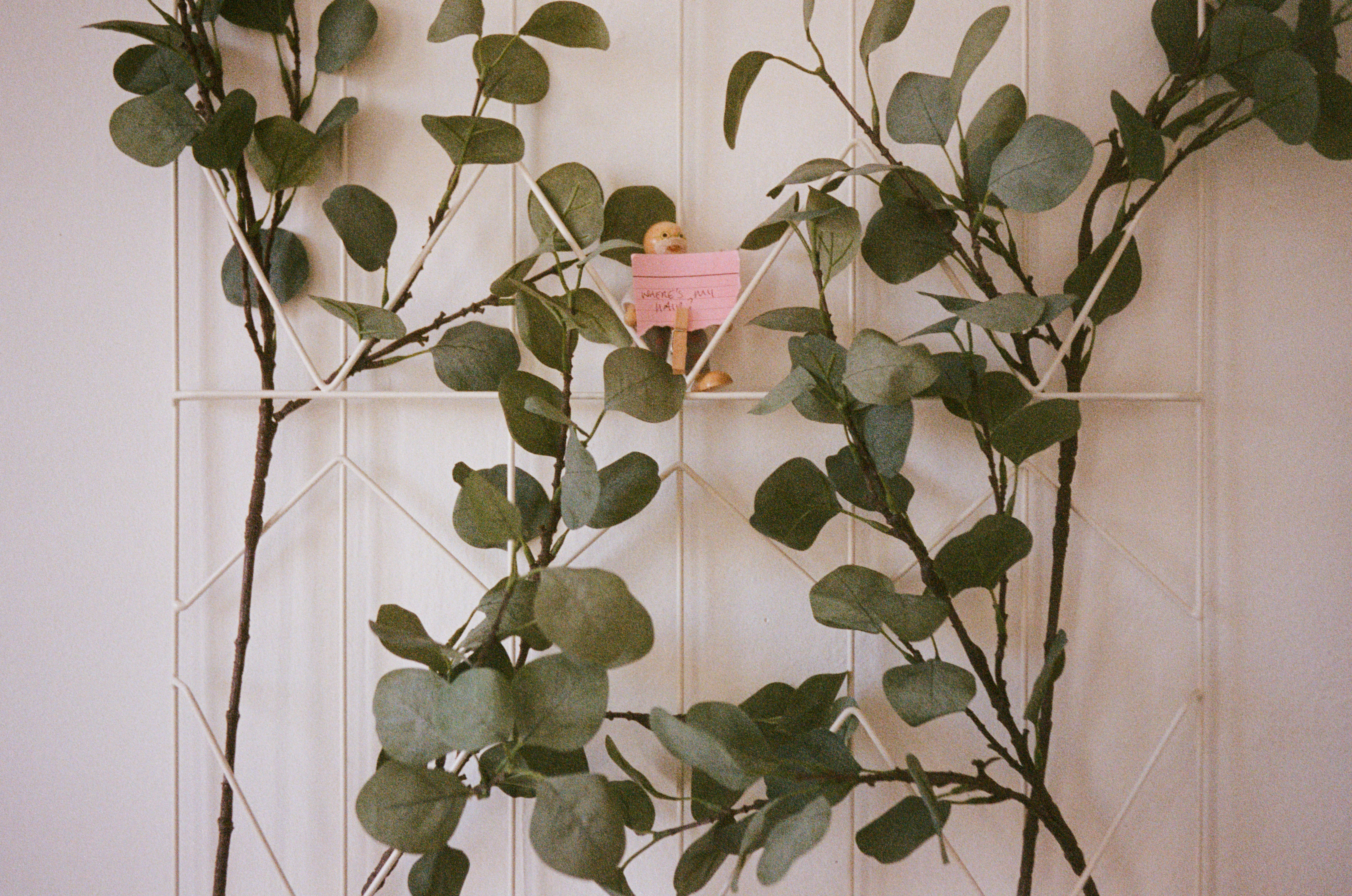 decor image