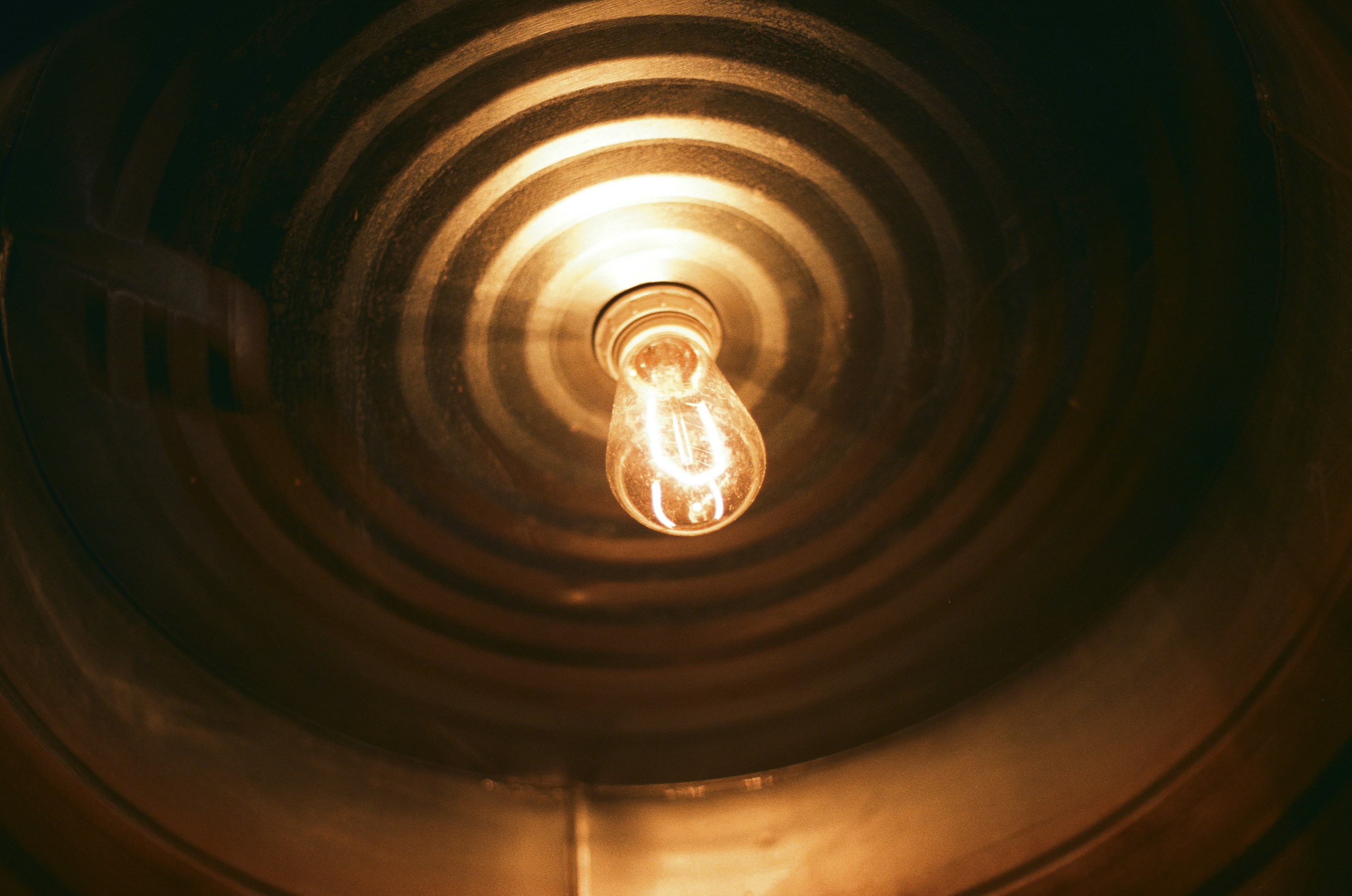 Photo by itscameracole_