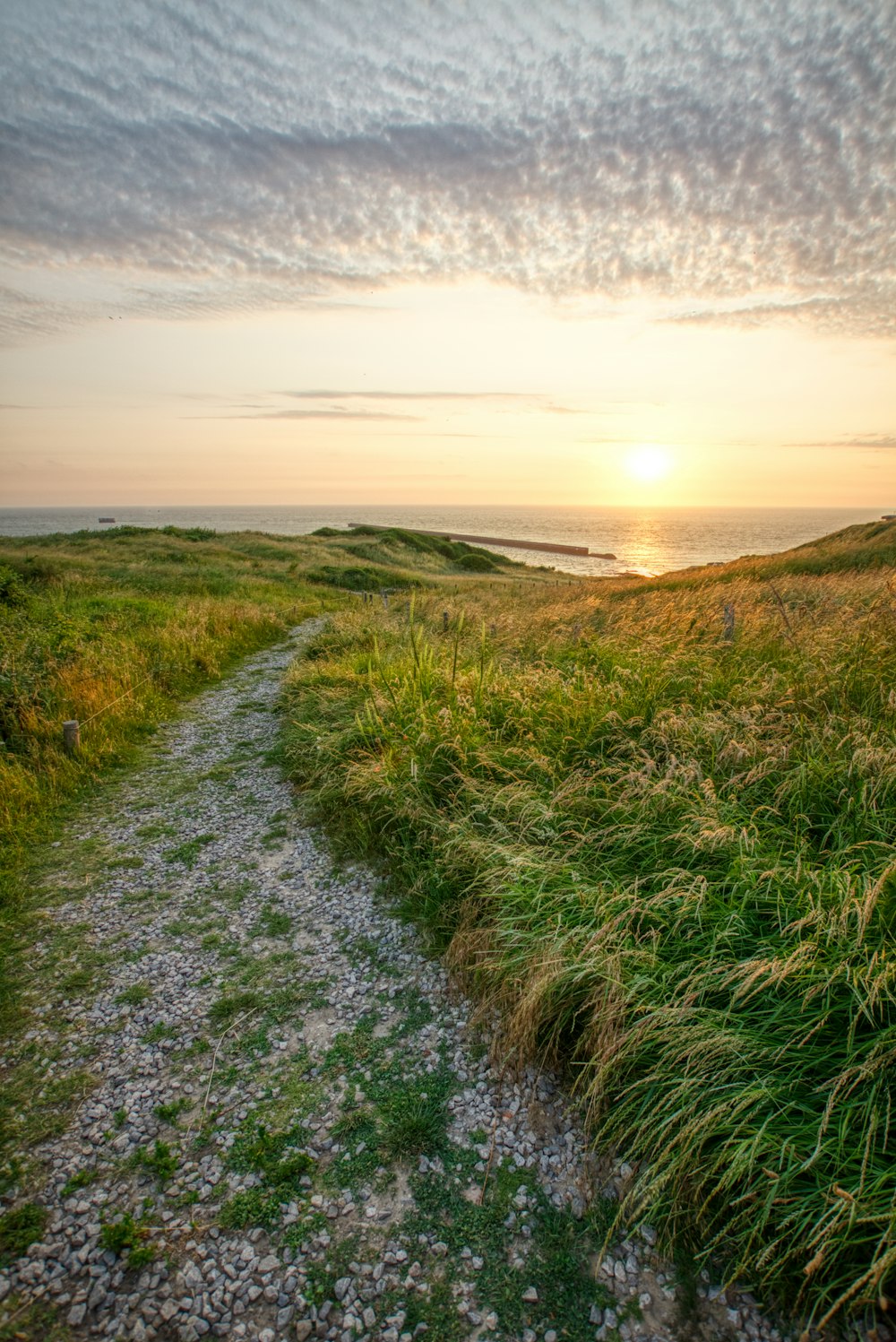 the sun is setting over a grassy field