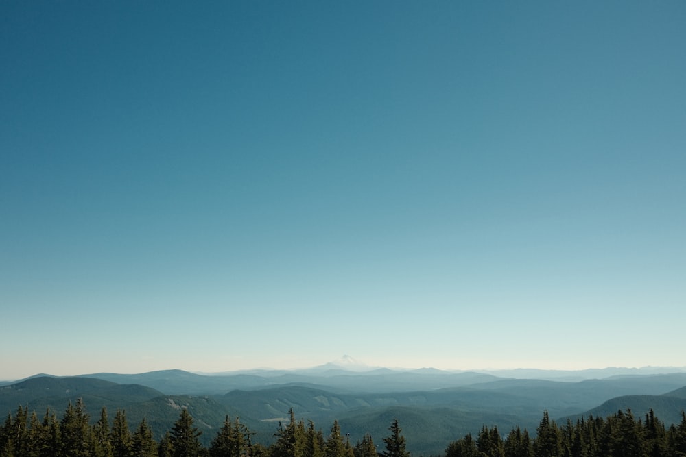 a view of a mountain range with trees in the foreground