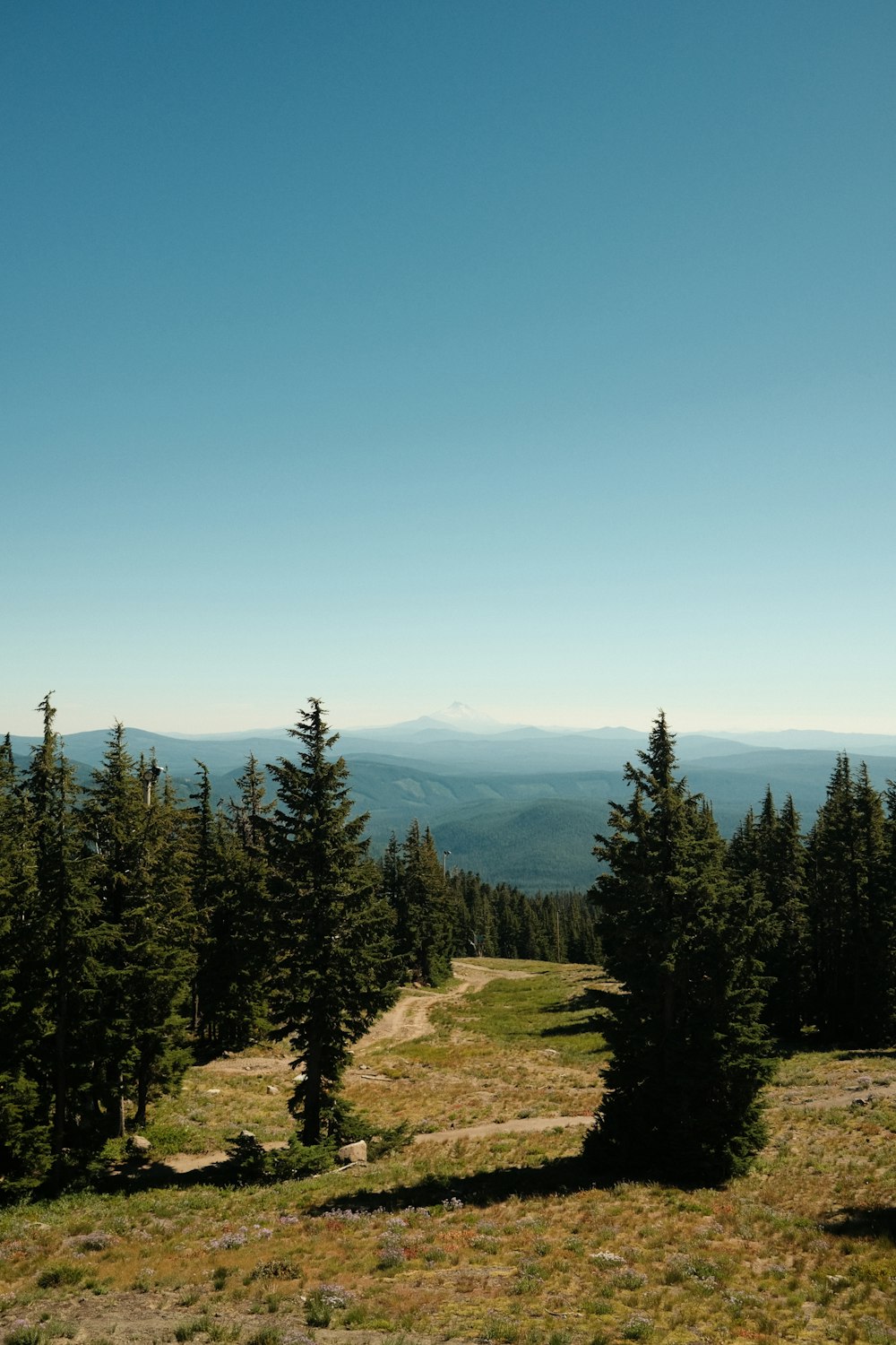 the view from the top of a mountain with trees