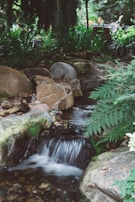 A serene garden corner with a small water fountain surrounded by ferns and moss.