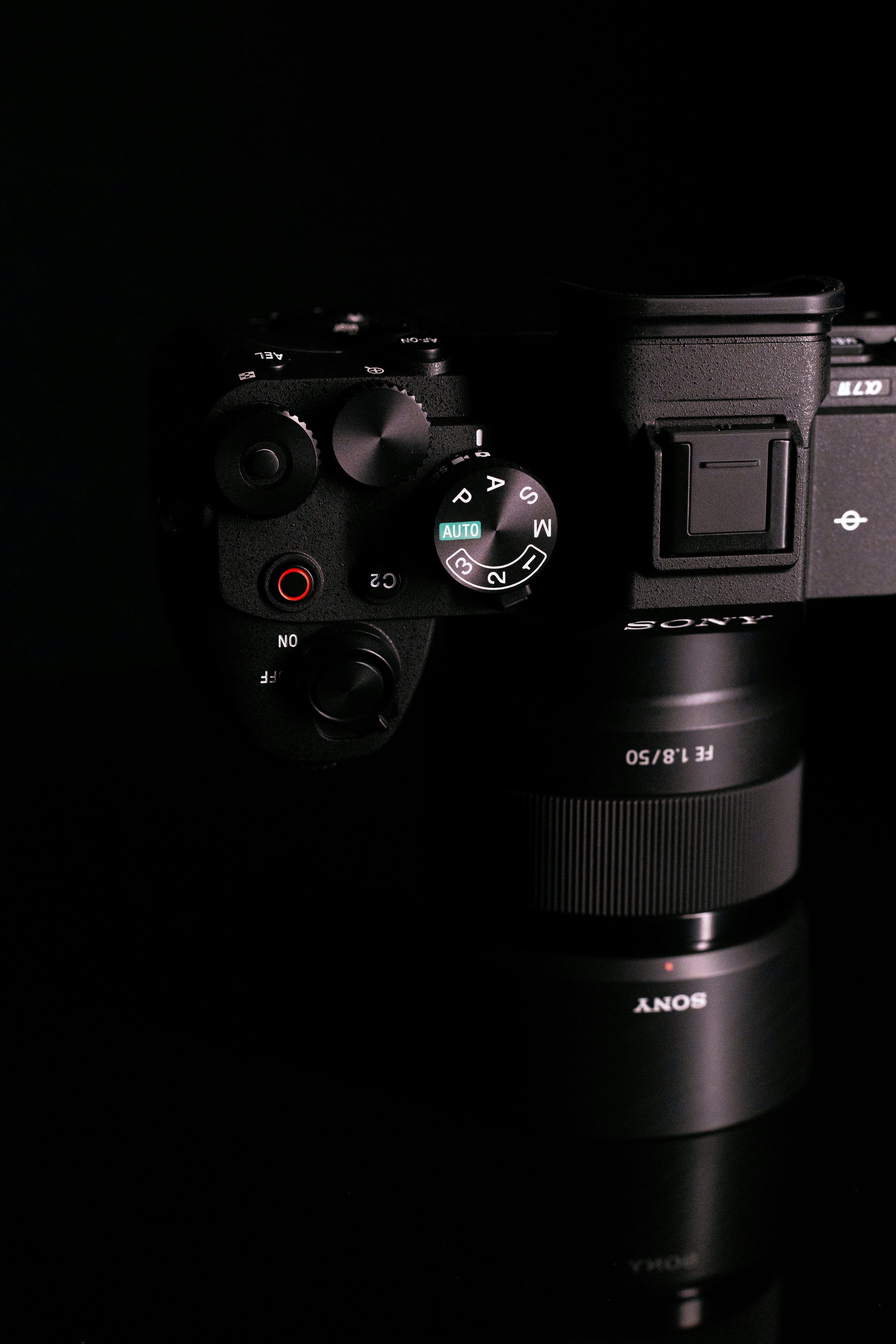 Photo by veecee_photography