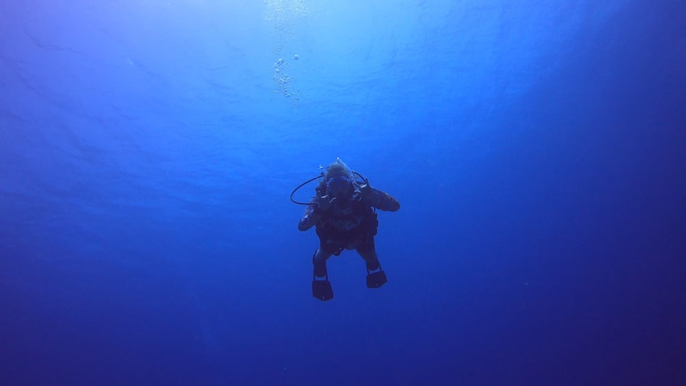 a person in a scuba suit swimming in the ocean