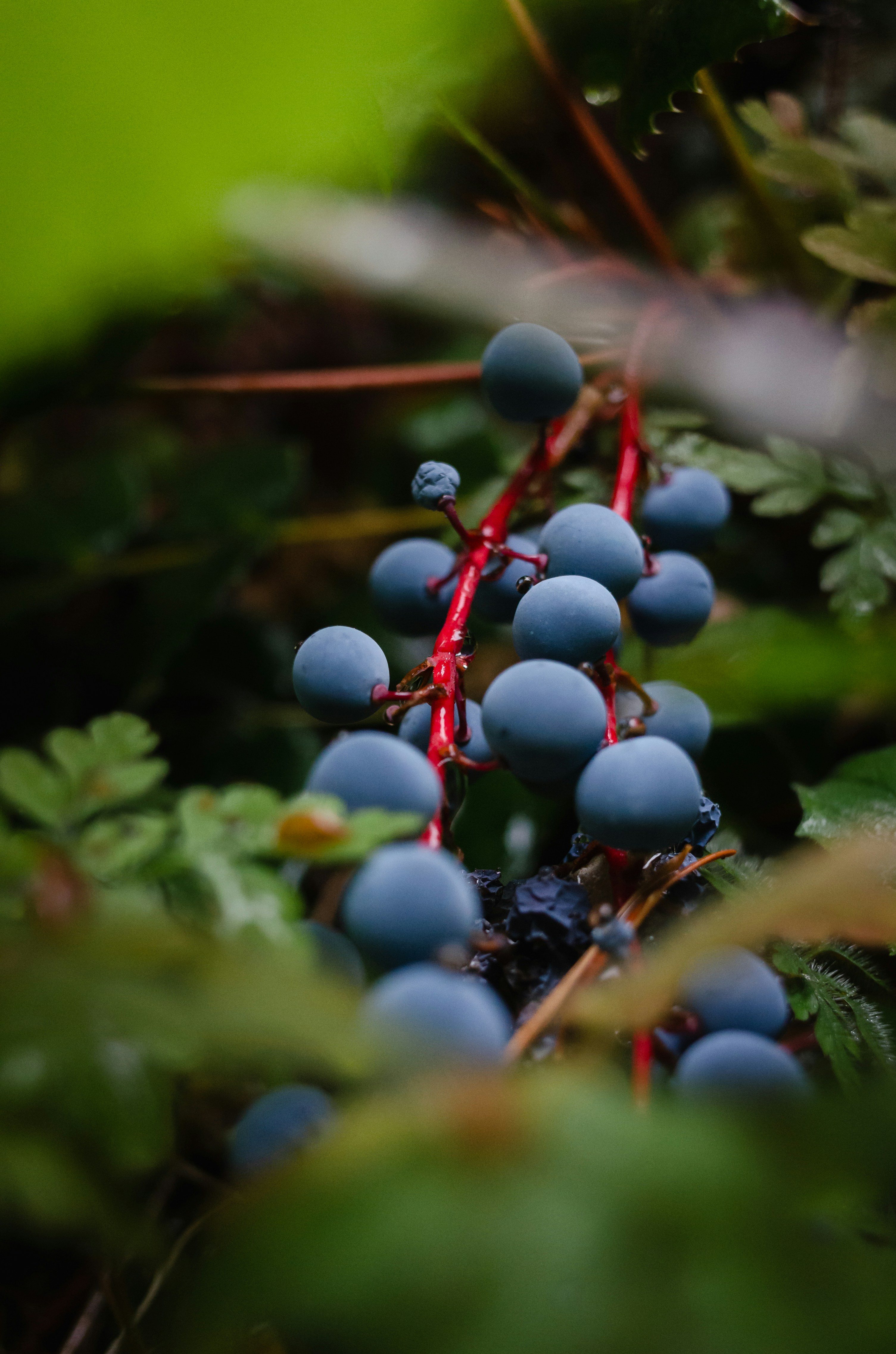 Photo by greg_rosenke