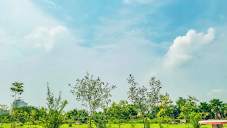 Volunteers planting young trees in a sunny community park surrounded by hills.