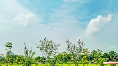 A lush green park landscape with several young trees in the foreground and a bright blue sky with scattered clouds above. A few buildings are visible in the distance, partly obscured by trees.
