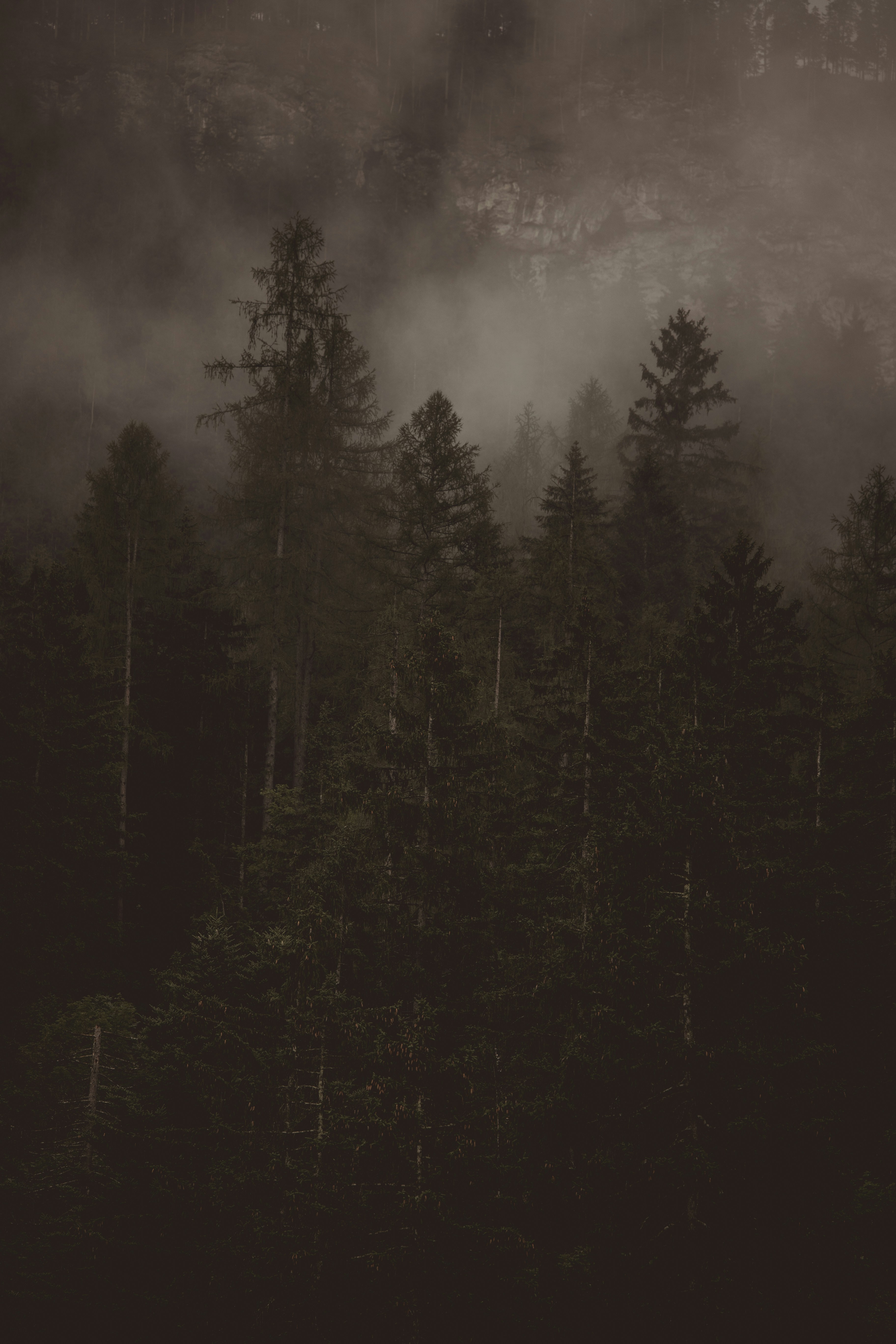 Photo by elisamoldovan