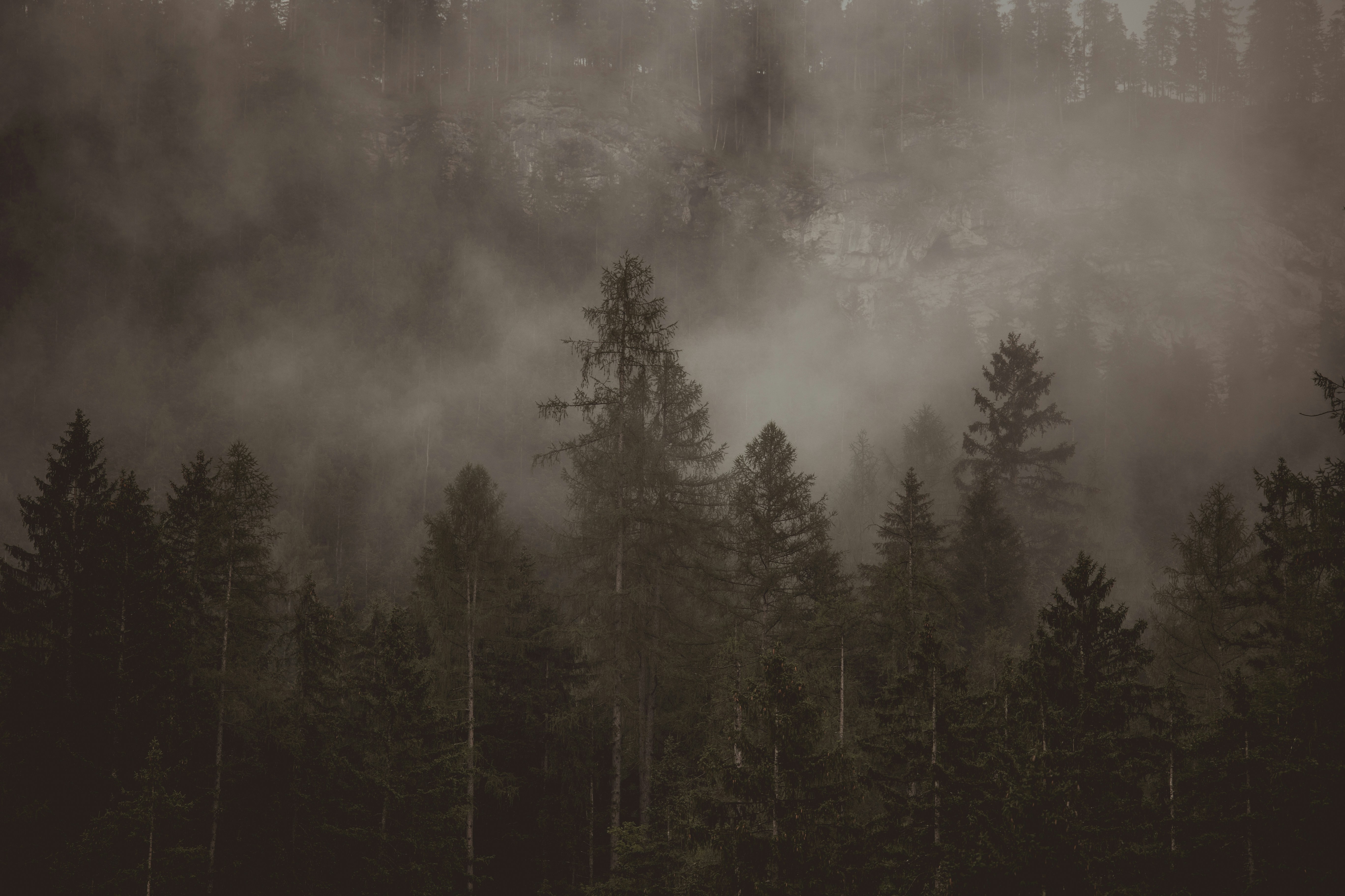 Photo by elisamoldovan