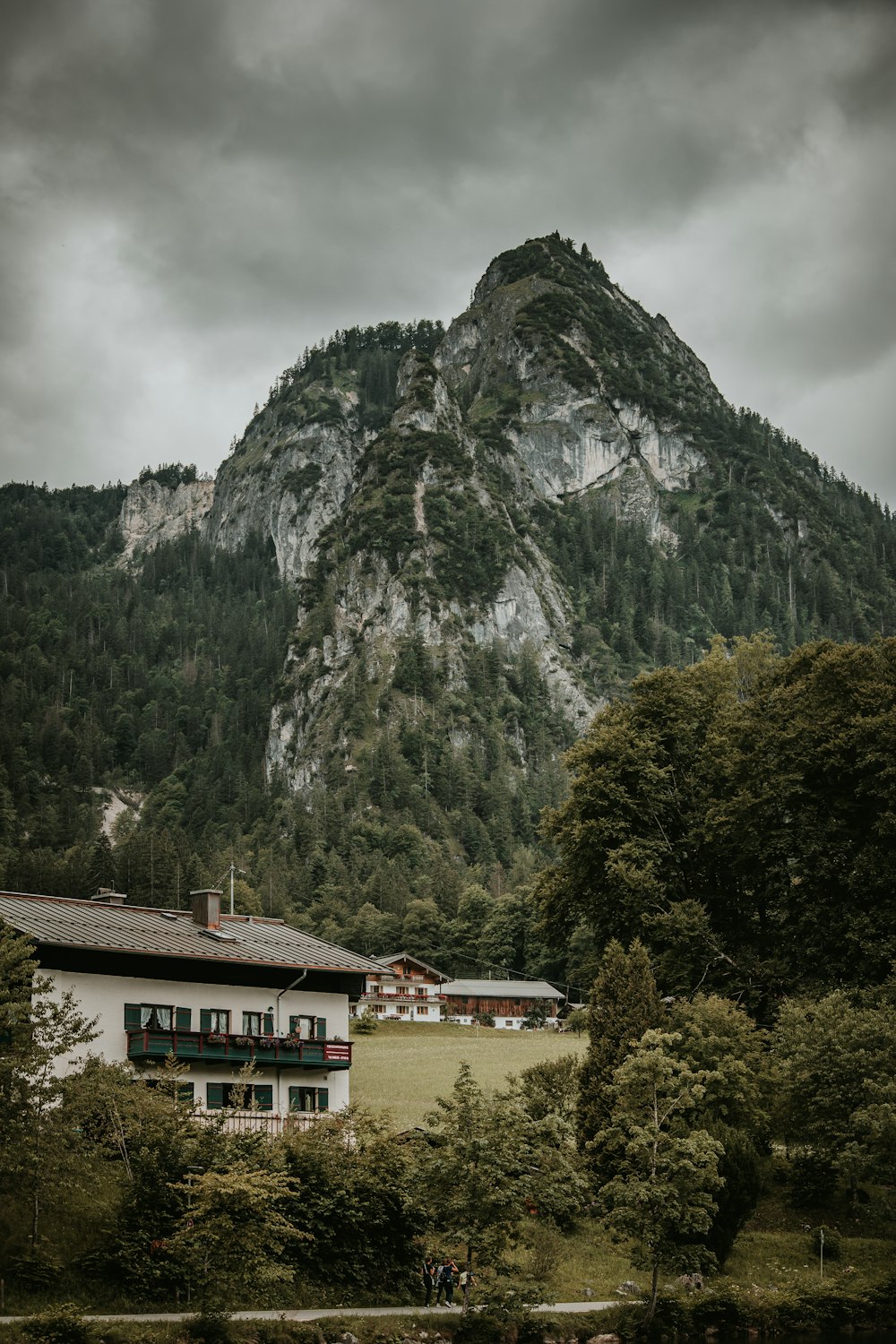 a house in the middle of a field with a mountain in the background