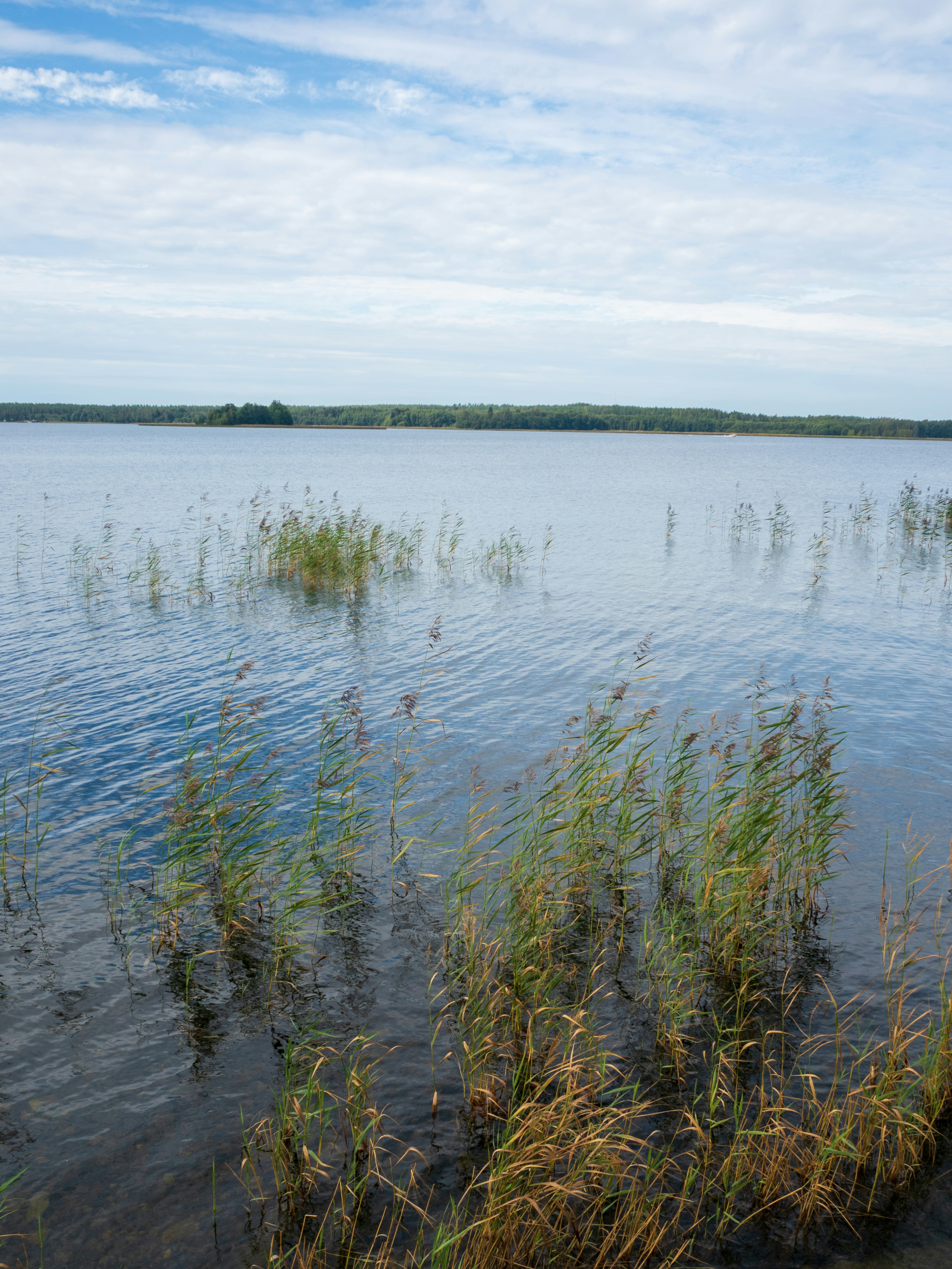 Photo by janifreelancing