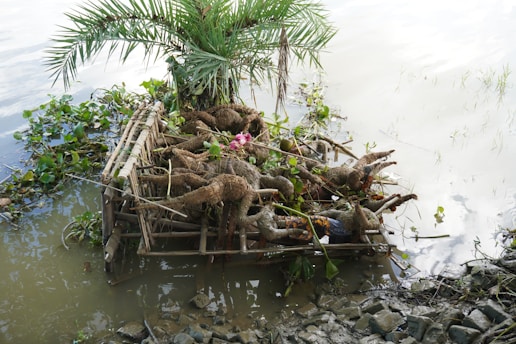 A structure made of bamboo and roots is floating on water, adorned with a lush palm frond and colorful flowers. Surrounding the platform are green aquatic plants and a reflective water surface.
