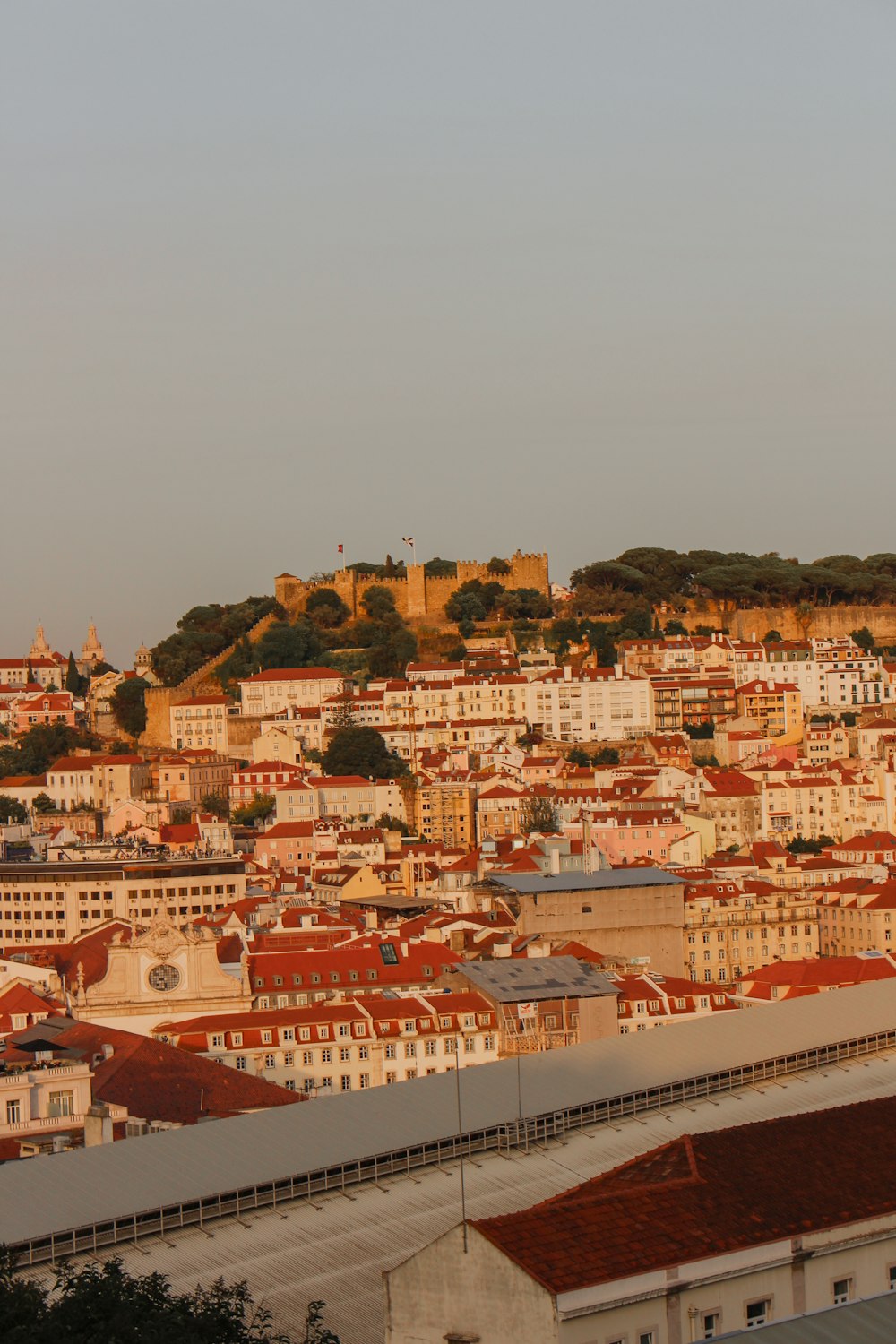 a view of a city with a hill in the background