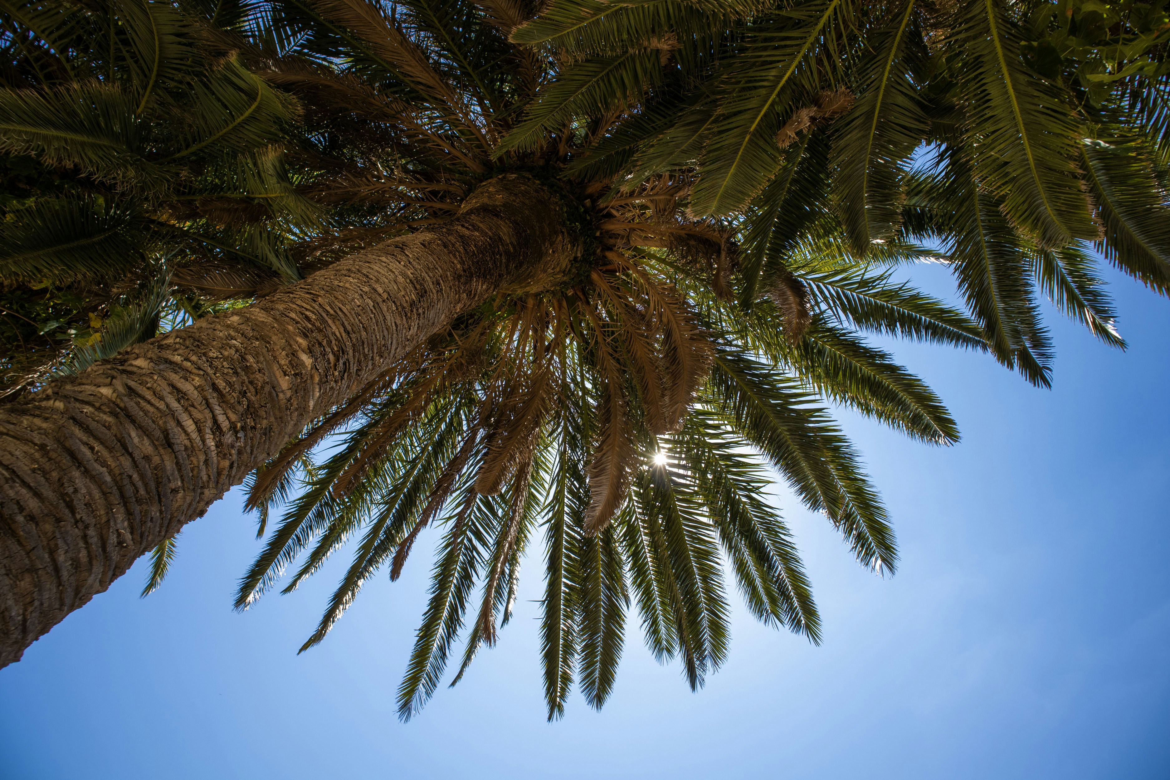 Photo by rolandtreiber