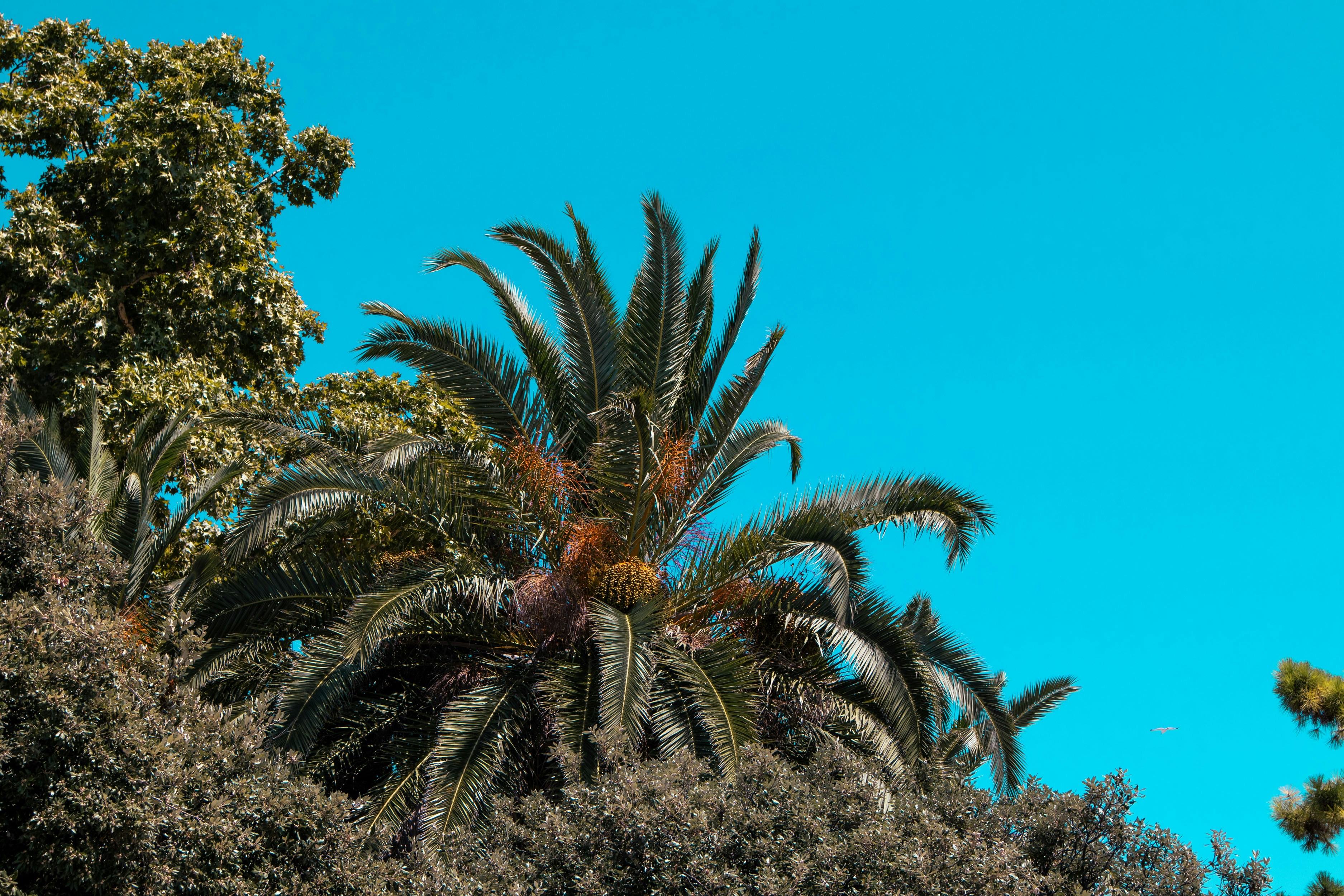 Photo by rolandtreiber