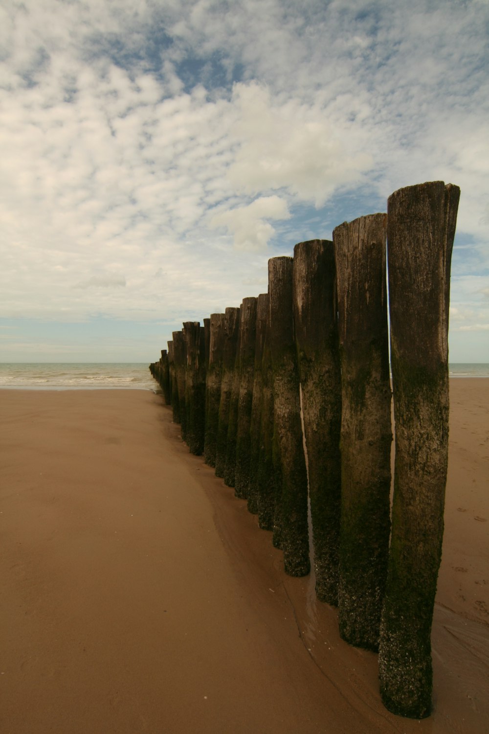 a row of wooden posts sitting on top of a sandy beach