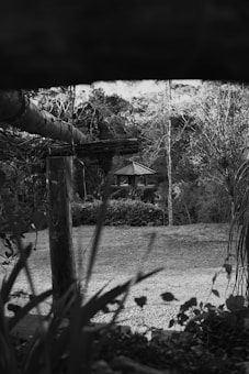 A black and white image showcasing a peaceful outdoor scene. There is a wooden structure with a small bird feeder hanging from it, situated in a garden with grass and various plants. In the background, there are trees and bushes that give a natural, serene atmosphere.