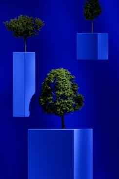 a tree in a blue vase with a blue background