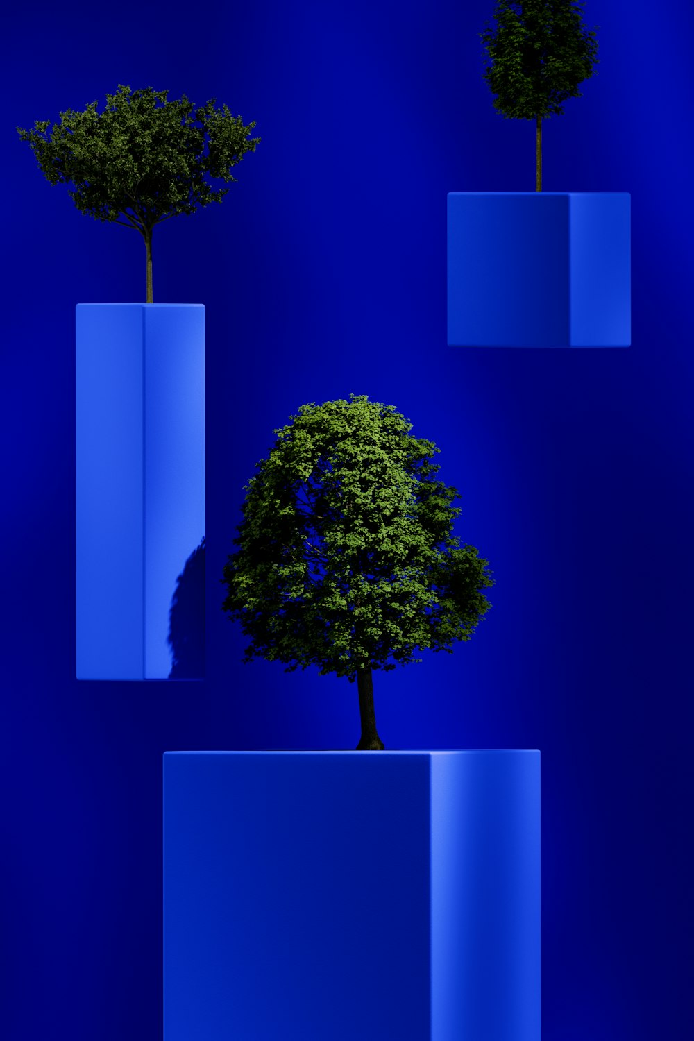 a tree in a blue vase with a blue background