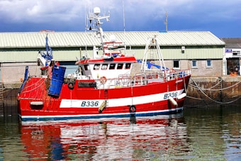 A vibrant red and white fishing boat is docked at a harbor. The boat is equipped with various fishing equipment and prominently features the number B336. Behind it, a long industrial-looking building can be seen, with a corrugated roof and several windows. The water reflects the boat and part of the building, creating a dynamic scene.