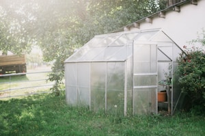 A small, clear greenhouse is situated in a backyard with lush green grass surrounding it. The structure has a metallic frame and translucent panels. Inside, some plants and gardening tools are visible. A wooden staircase and a part of a white building are seen on the right, while trees and a fence line the left side of the image. Sunlight filters through the trees, creating a soft glow.