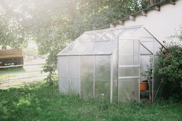 A small, clear greenhouse is situated in a backyard with lush green grass surrounding it. The structure has a metallic frame and translucent panels. Inside, some plants and gardening tools are visible. A wooden staircase and a part of a white building are seen on the right, while trees and a fence line the left side of the image. Sunlight filters through the trees, creating a soft glow.