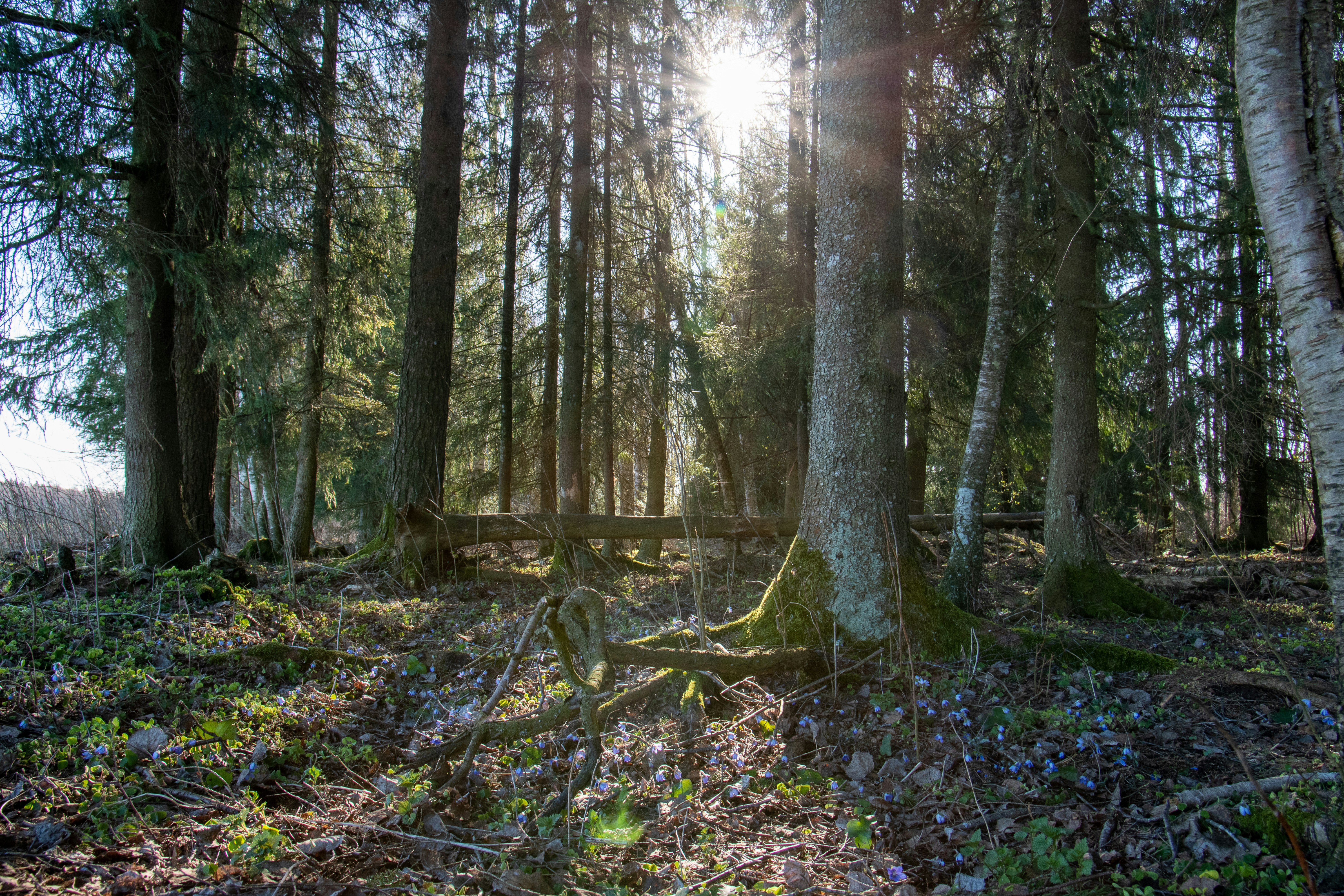 Photo by andruslukas