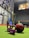 Two purple kettlebells labeled 4 KG each and a black and red medicine ball are positioned on a green mat in a gym setting. In the background, there is a punching bag and various gym equipment. The environment is slightly out of focus, with a mural on the wall and exercise tools scattered around.