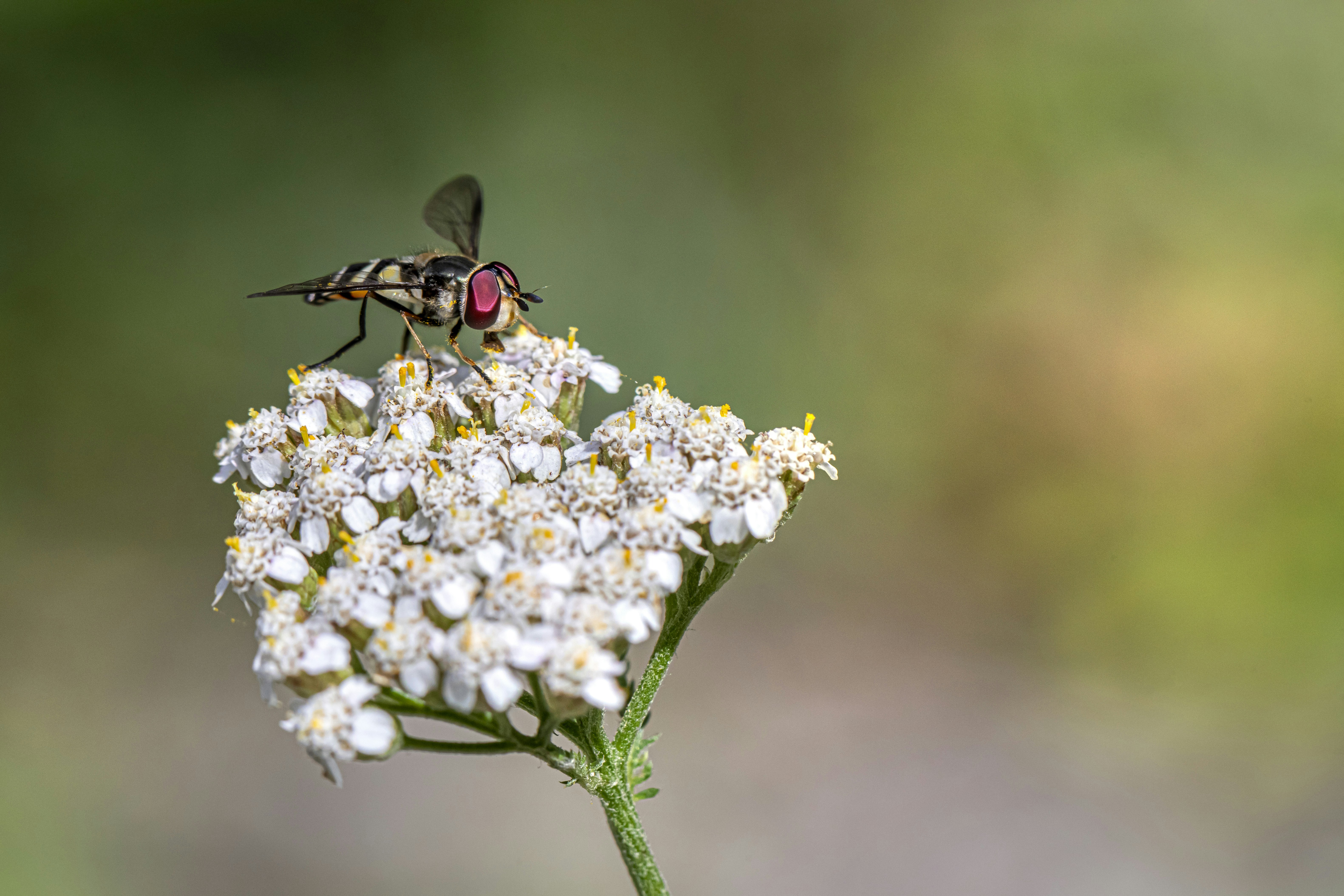 Photo by erik_karits