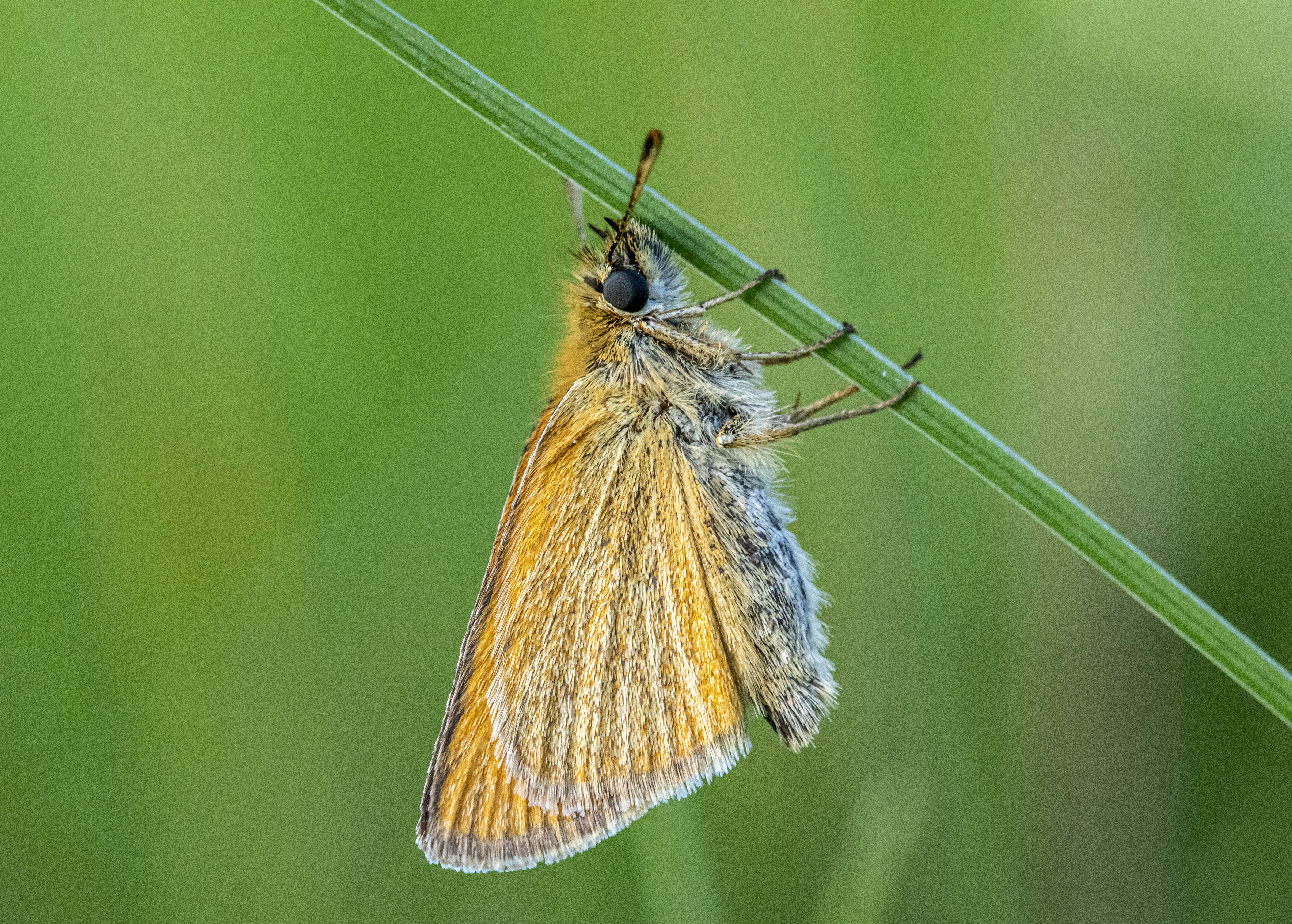 Photo by erik_karits