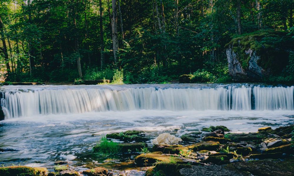 a small waterfall in the middle of a forest